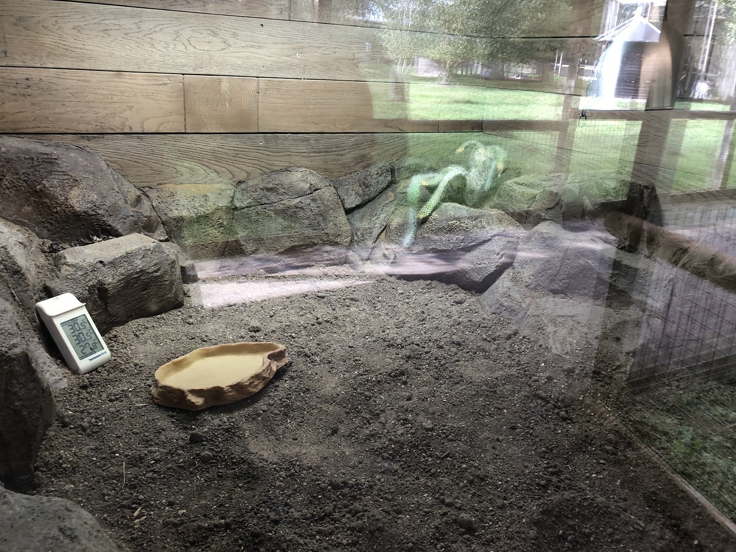 Part of the African Spurred Tortoise Indoor Enclosure at Hamerton Zoo Park (October 2023)