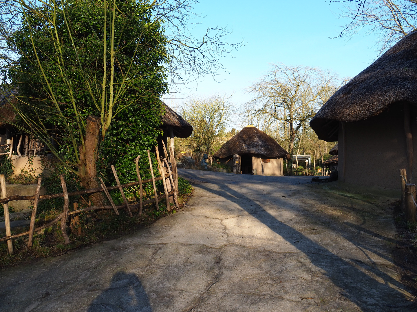 Part of the African village, 2022-02-12