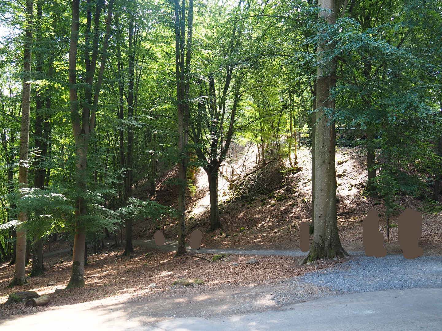 Part of the Alpine chamois area, 2020-07-12