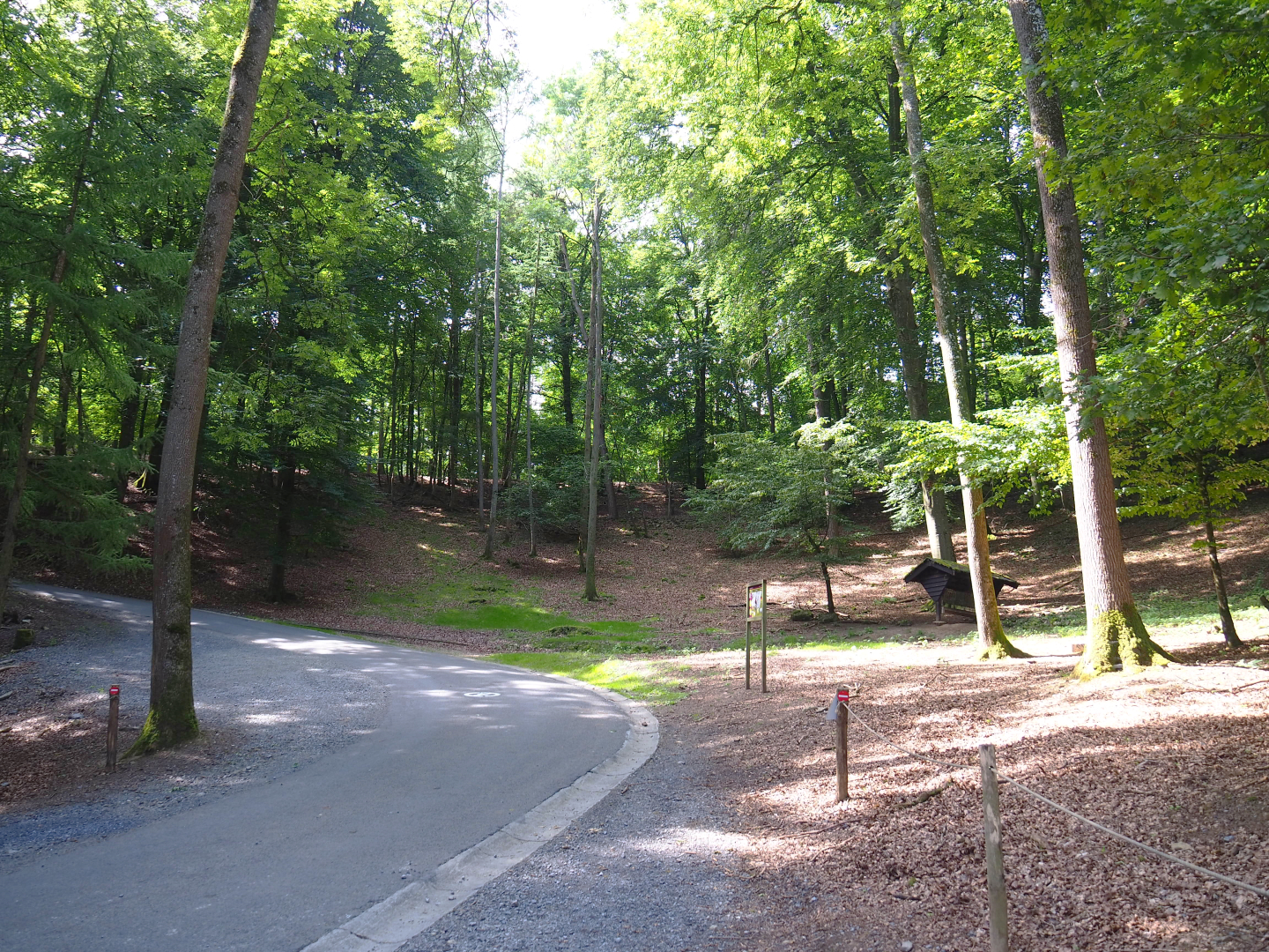 Part of the Alpine chamois area with main road, 2021-08-15