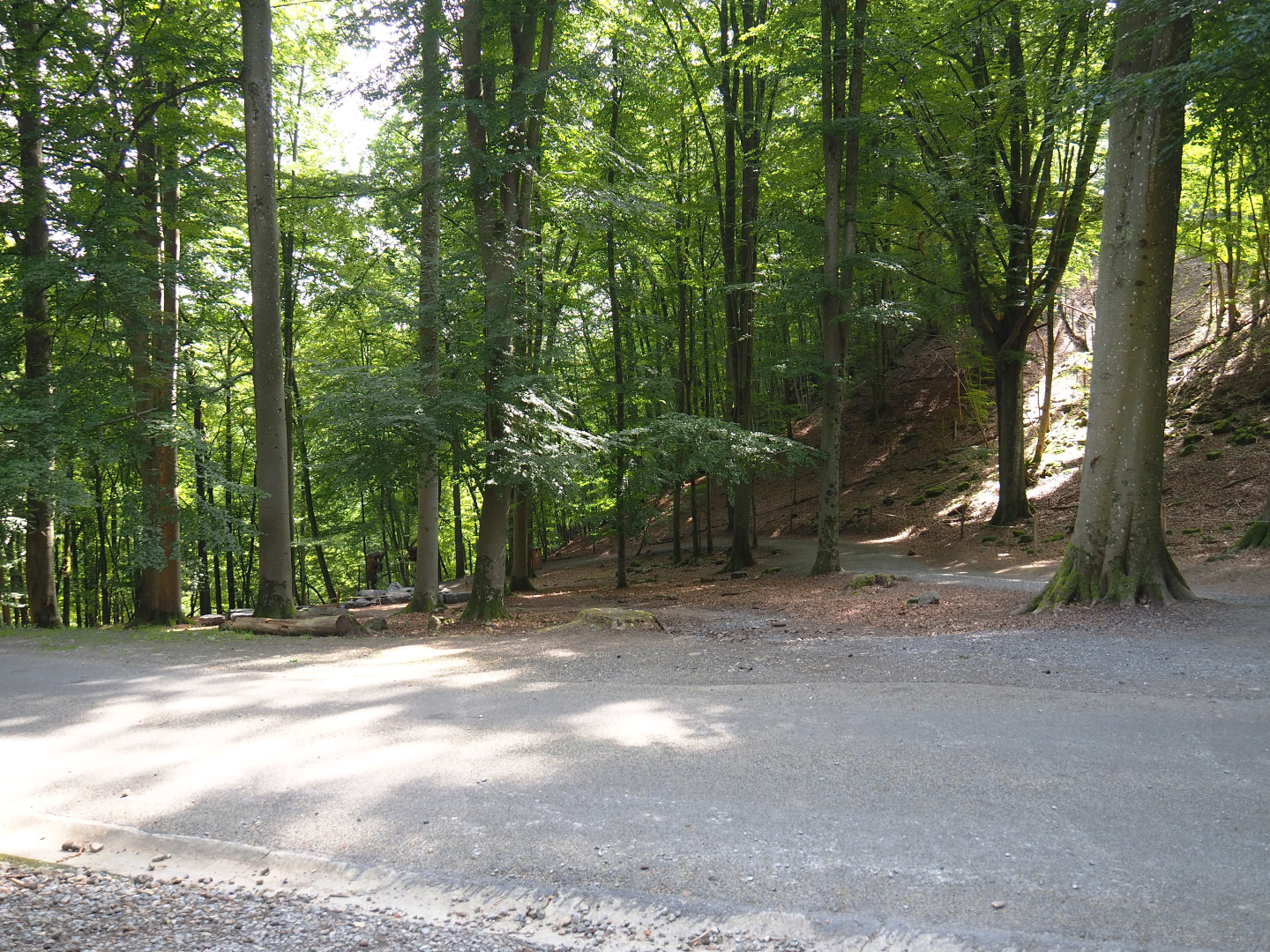 Part of the Alpine chamois area with main road, 2021-08-15