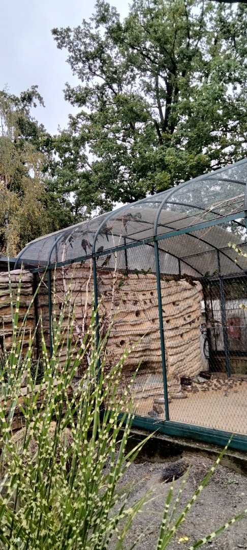 Part of the American aviary