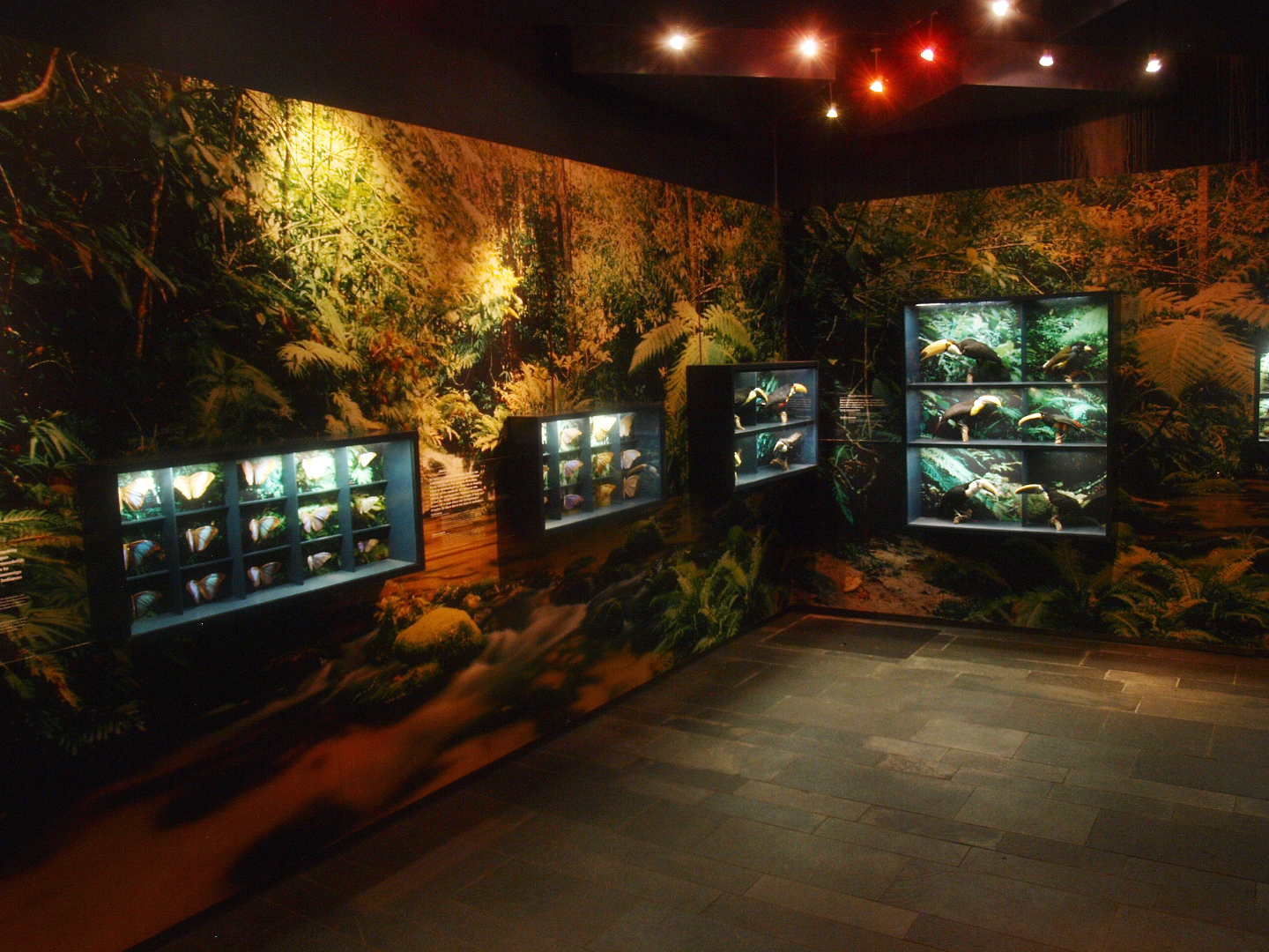 Part of the Americasa exhibition, 2015-07-19