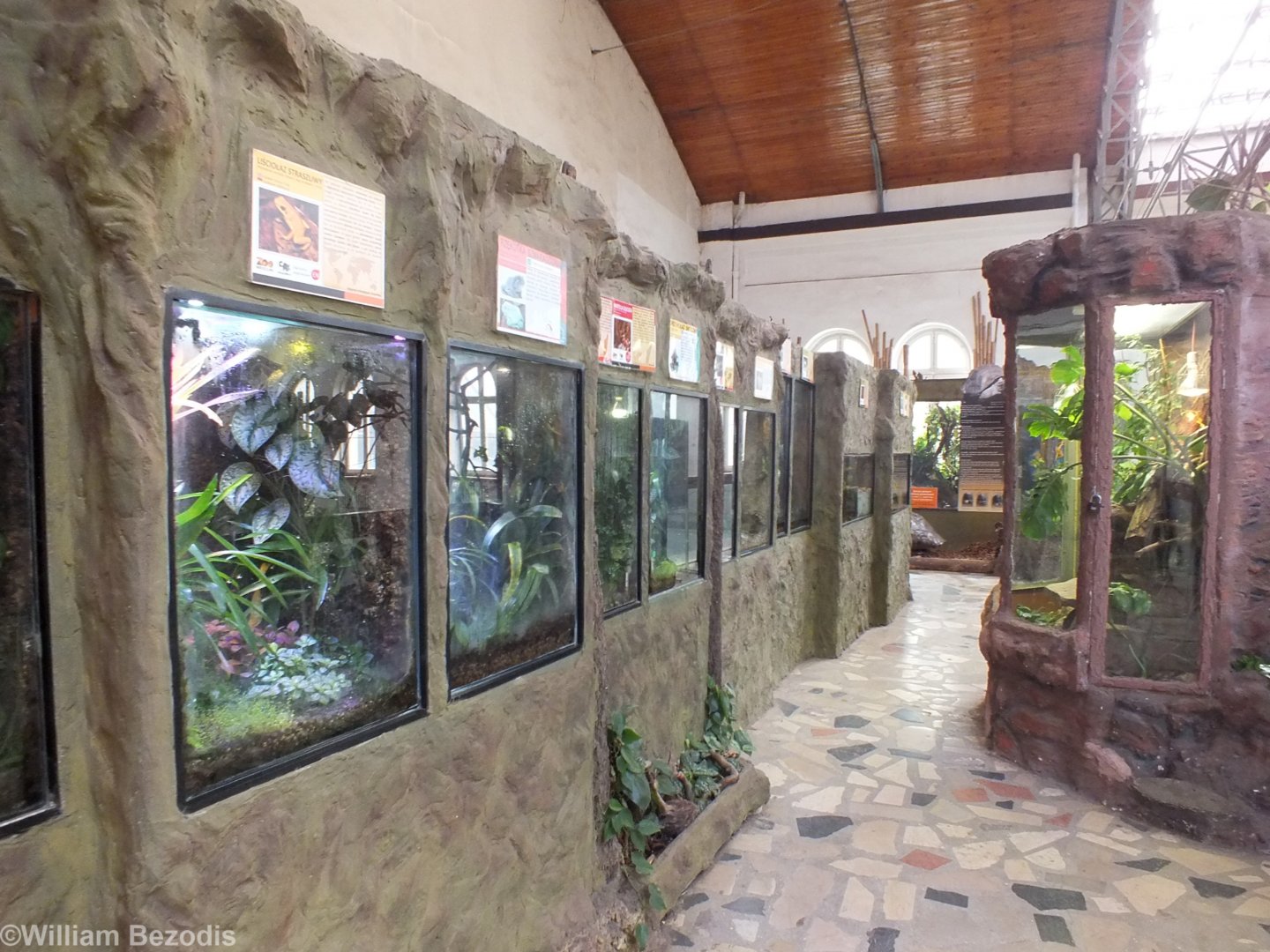 Part of the Amphibian Section - Wroclaw Zoo Terrarium