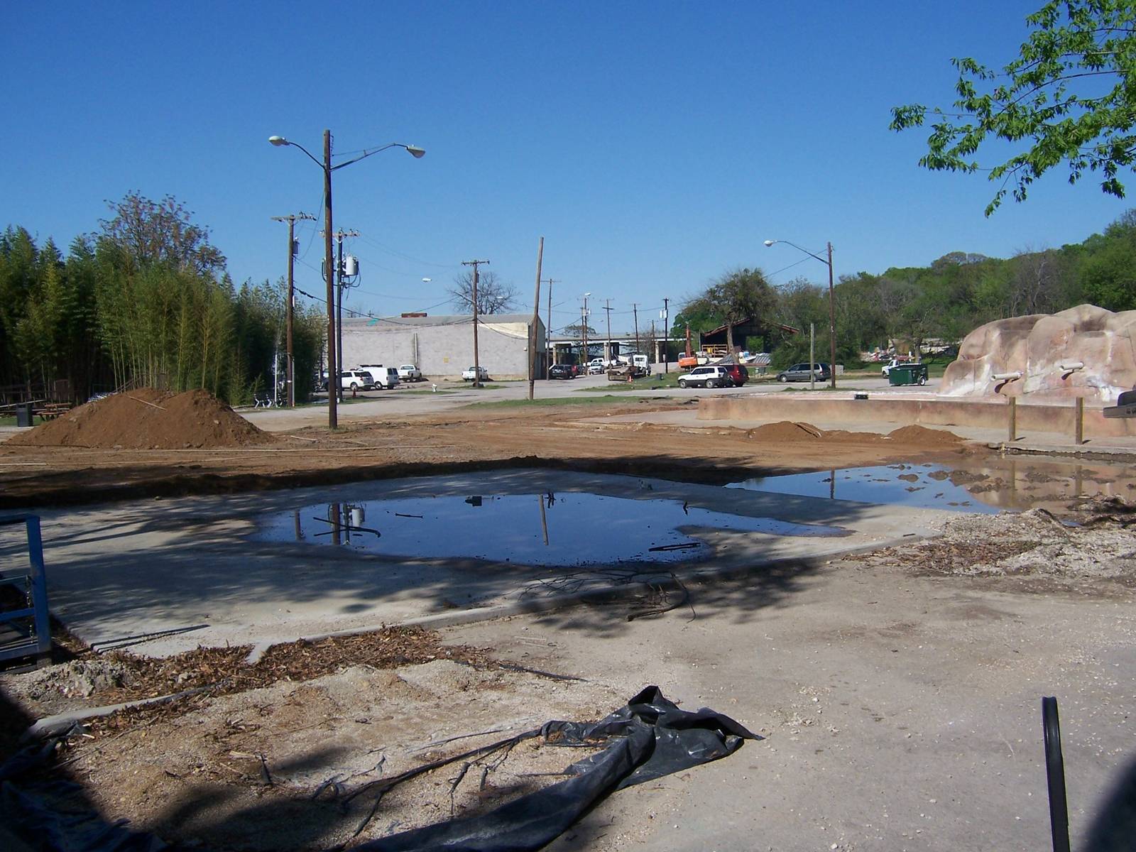 Part of the area that will become the Savanna taken on 3-31-09
