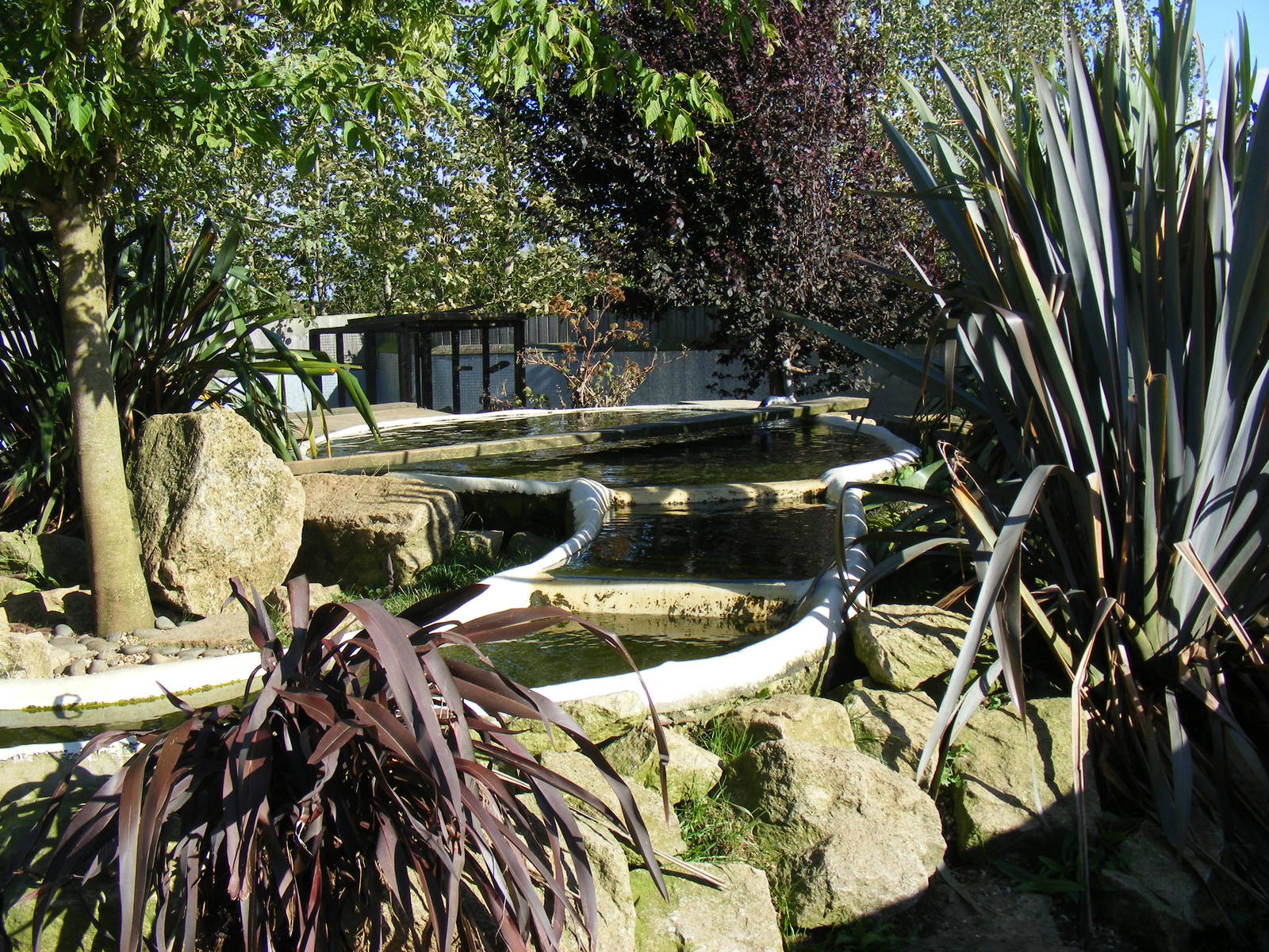 Part of the Asian short-clawed otter enclosure at Tropical Wings, 13 Septem