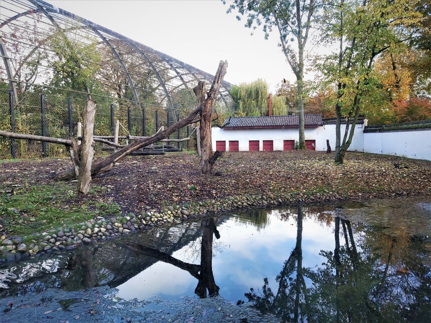 Part of the Asiatic black bear enclosure