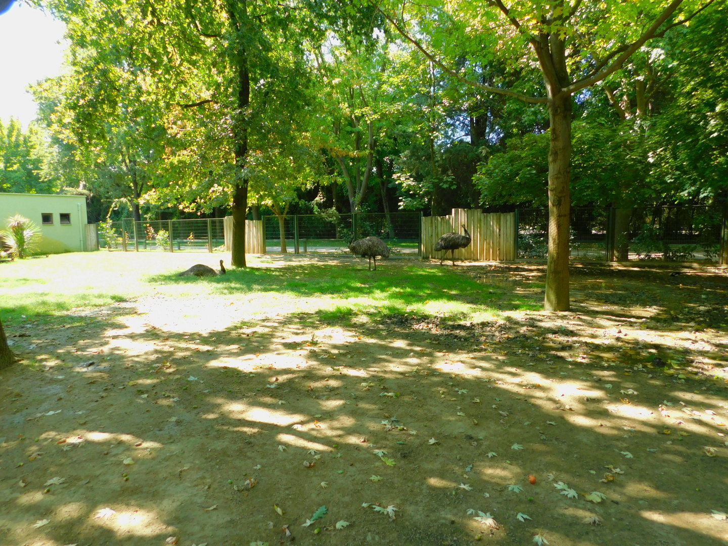 Part of the Australian Enclosure