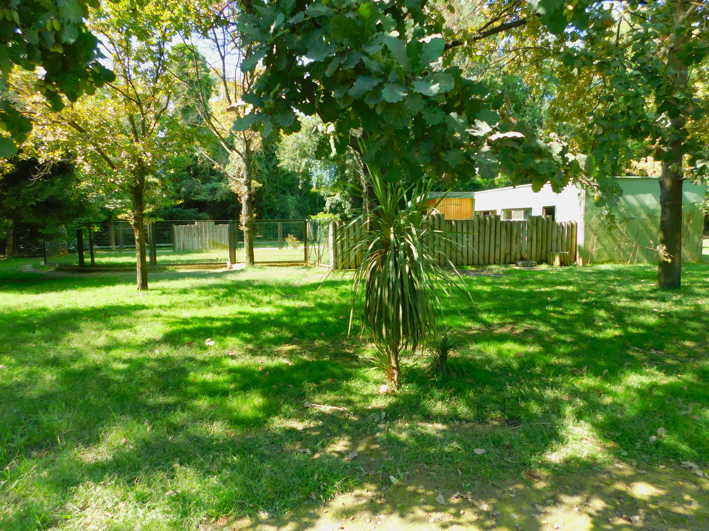 Part of the Australian Enclosure