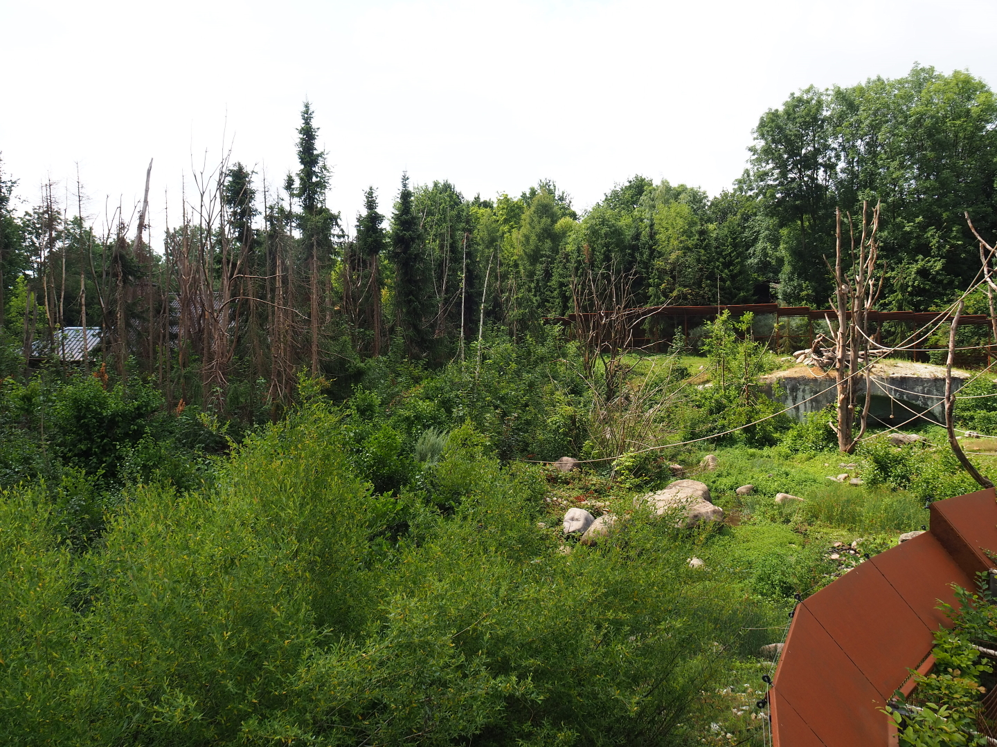 Part of the Barbary macaque exhibit, 2019-07-21