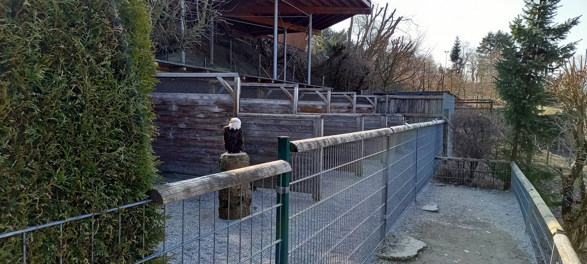 Part of the Bird of Prey Center