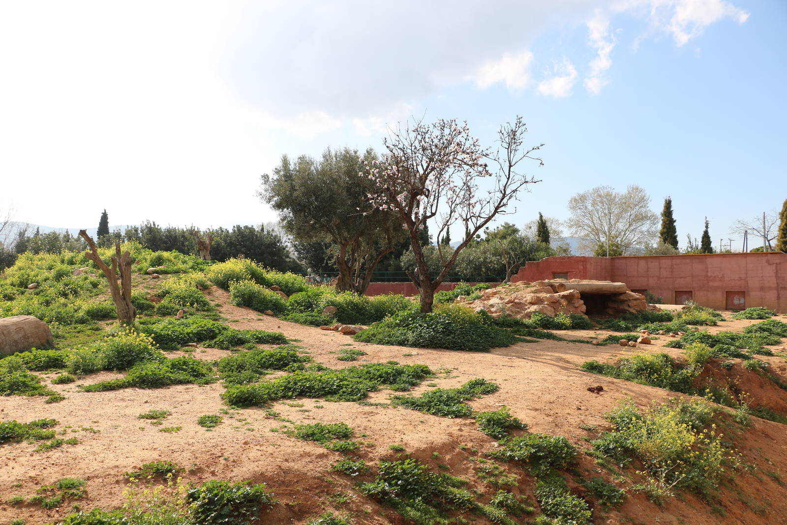 Part of the brown bear enclosure, February 2016