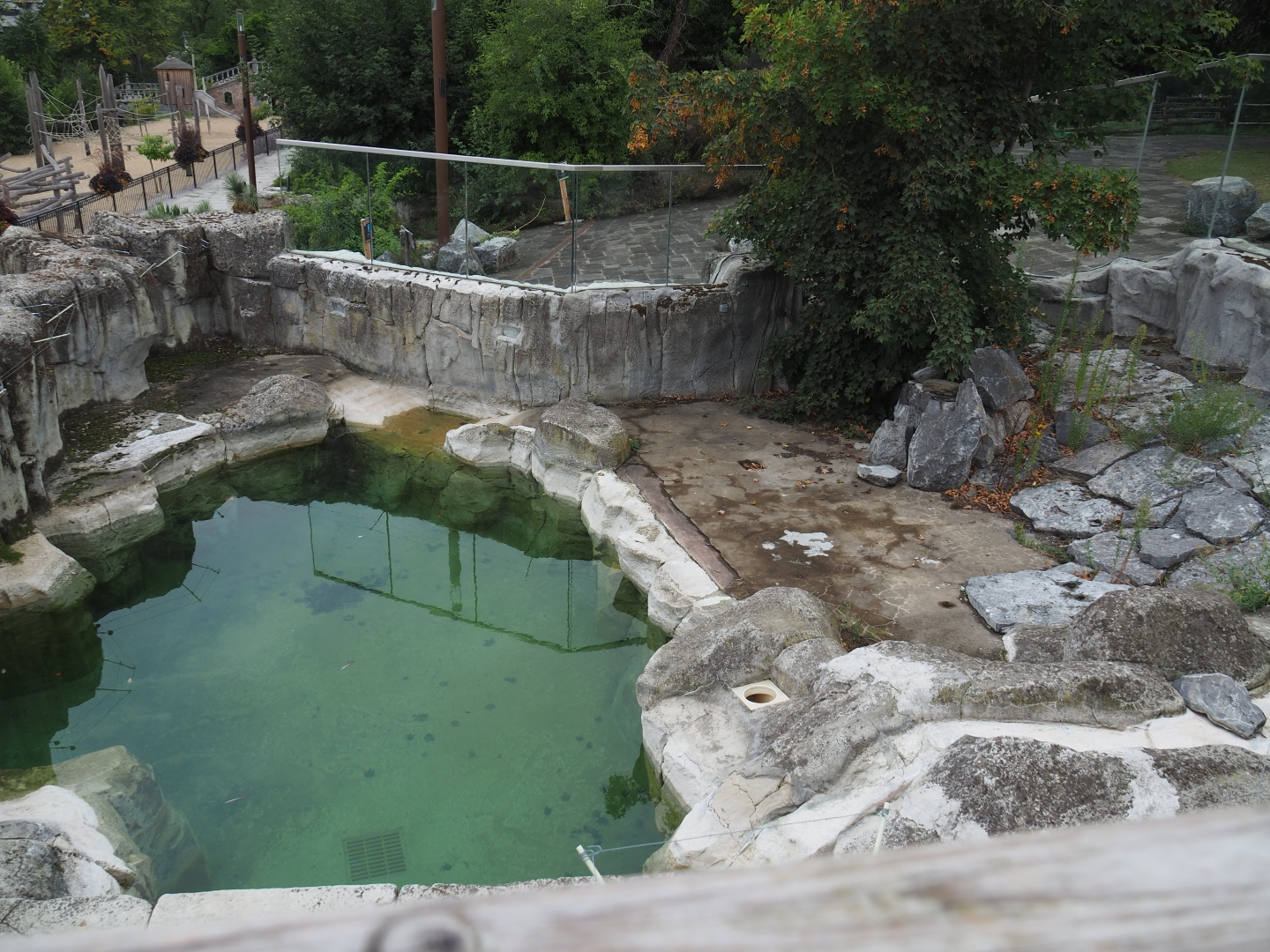 Part of the Cape fur seal exhibit, 2020-09-03