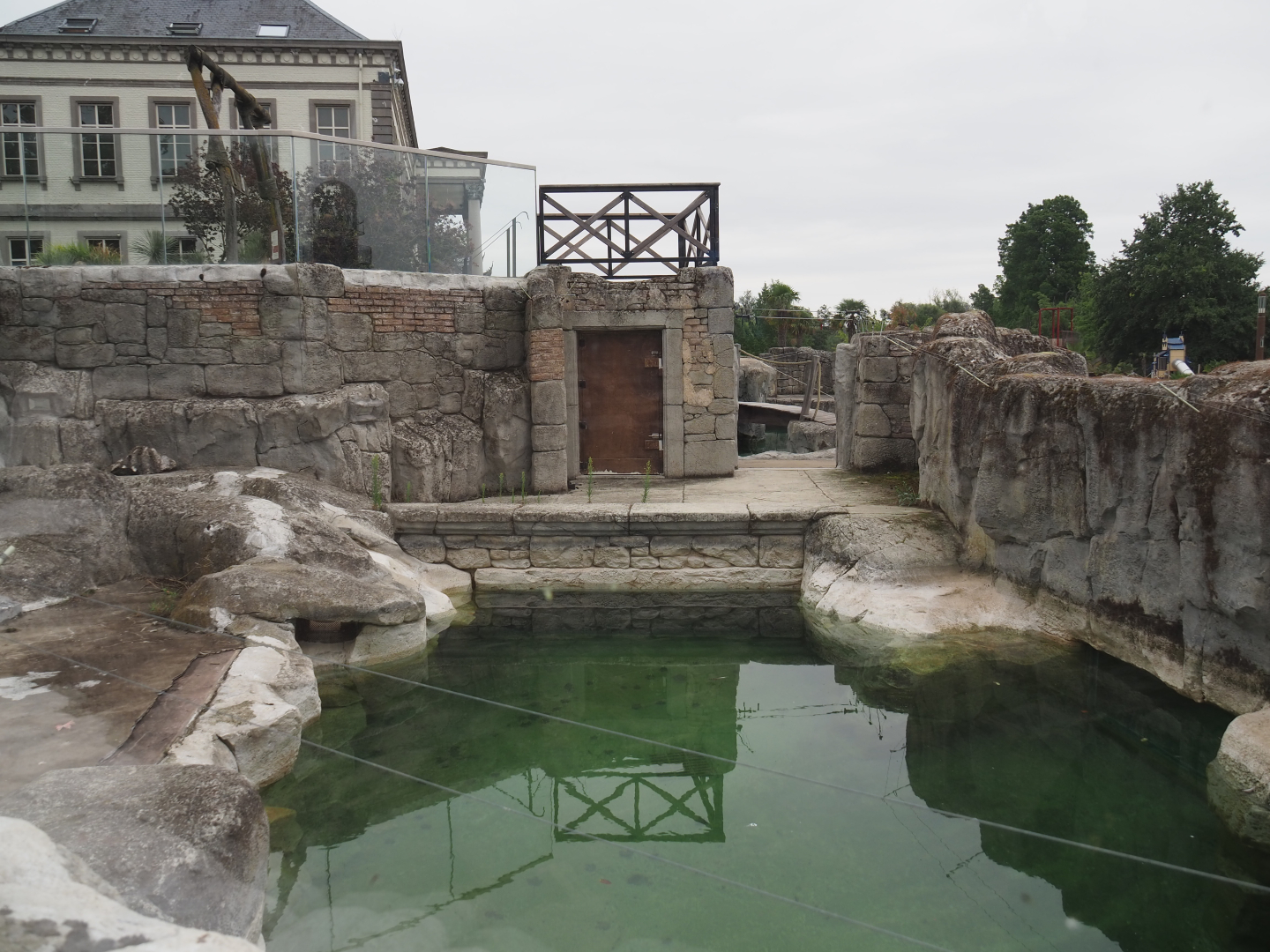 Part of the Cape fur seal exhibit, 2020-09-03