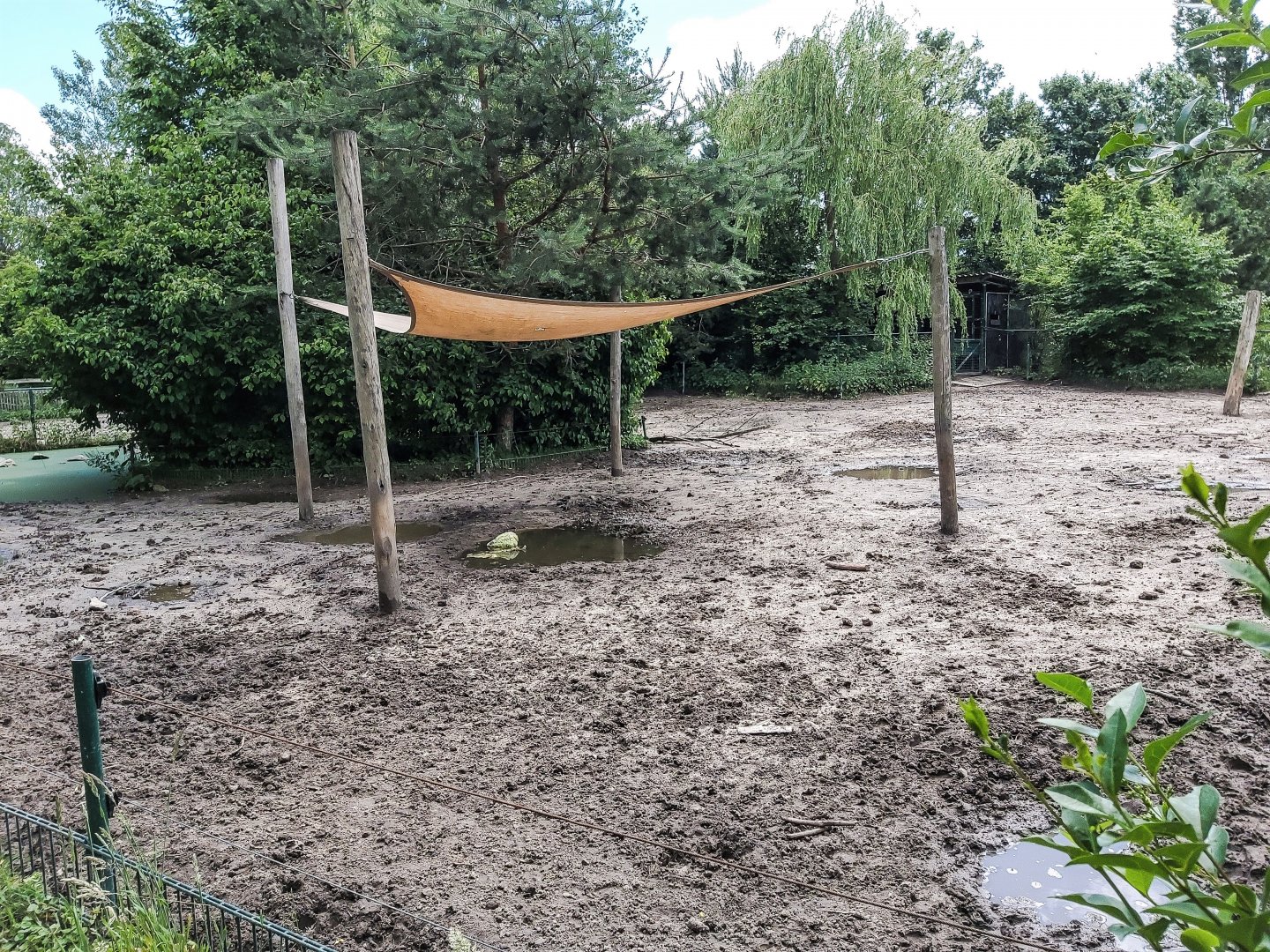 Part of the Central European wild boar enclosure