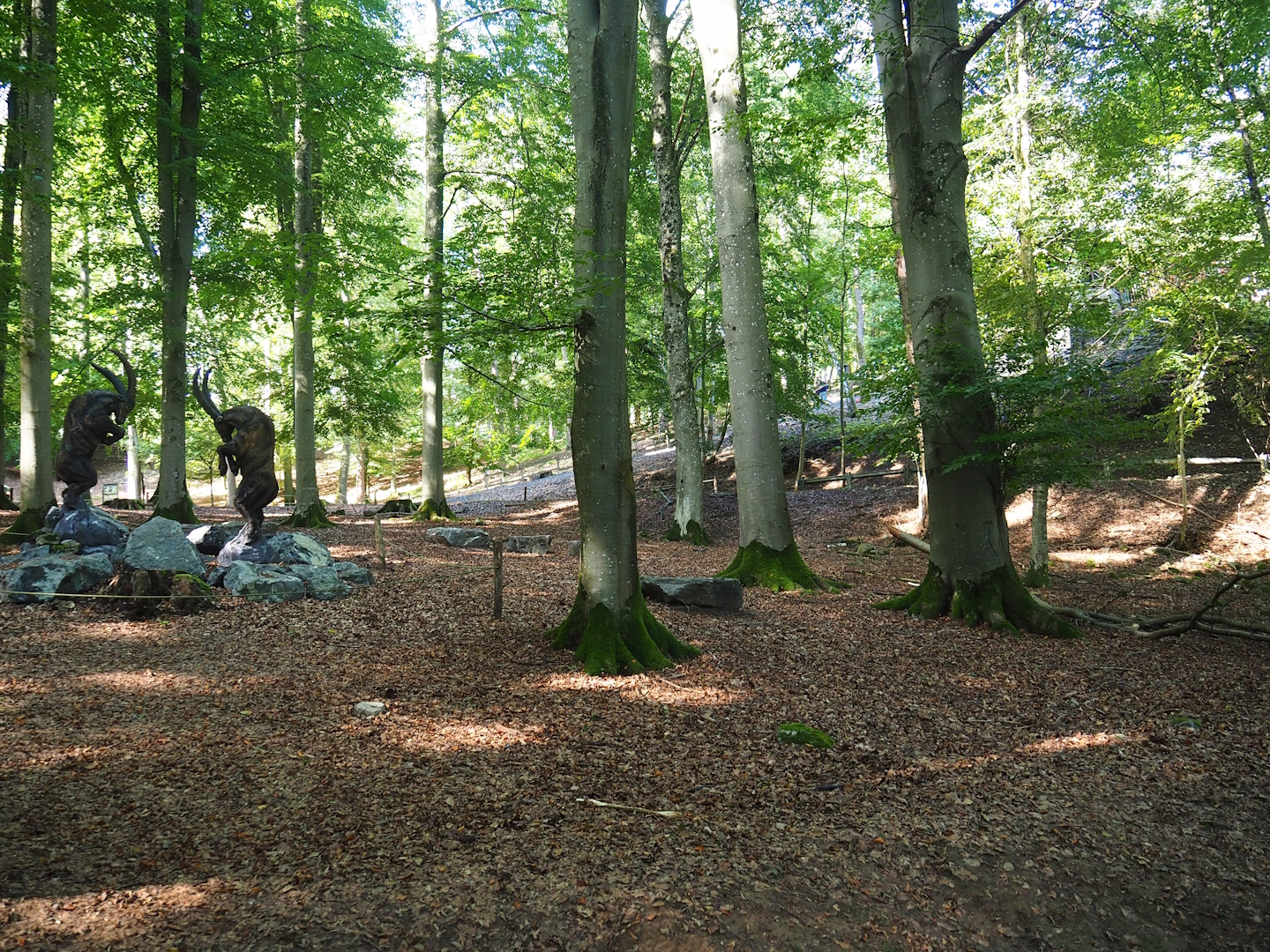 Part of the chamois area, 2023-09-26