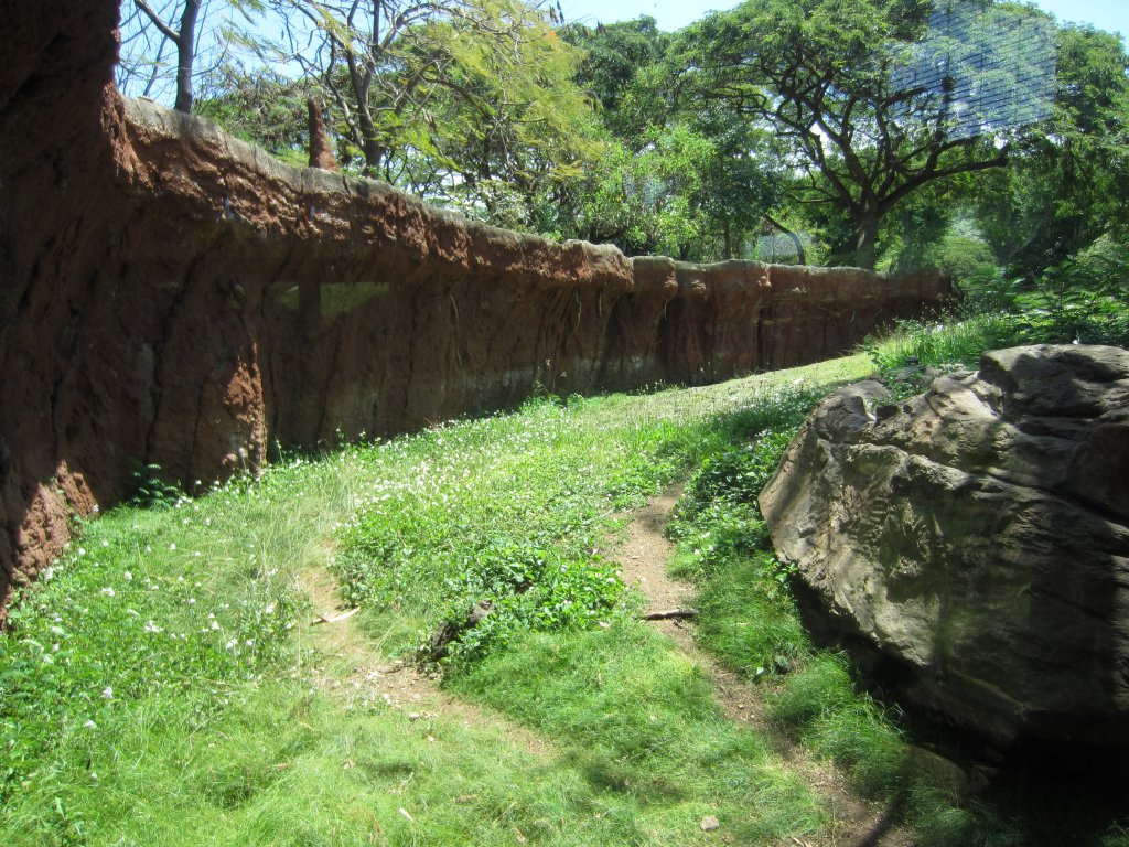 Part of the Cheetah exhibit