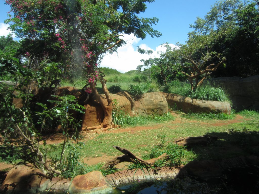 Part of the Chimp enclosure