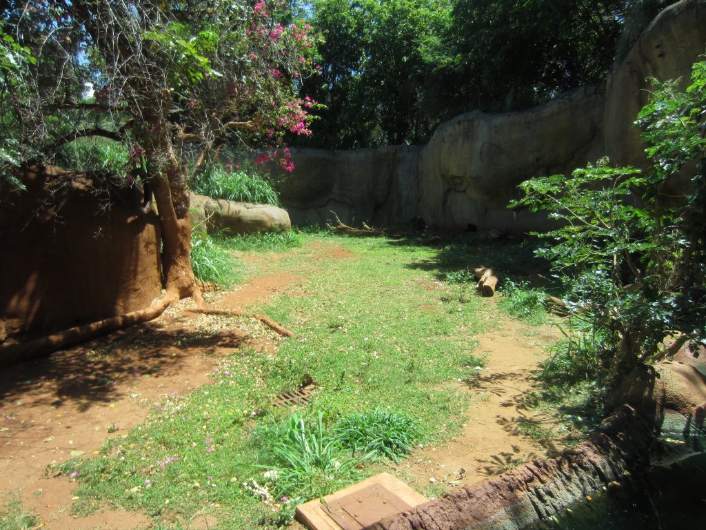 Part of the Chimp enclosure