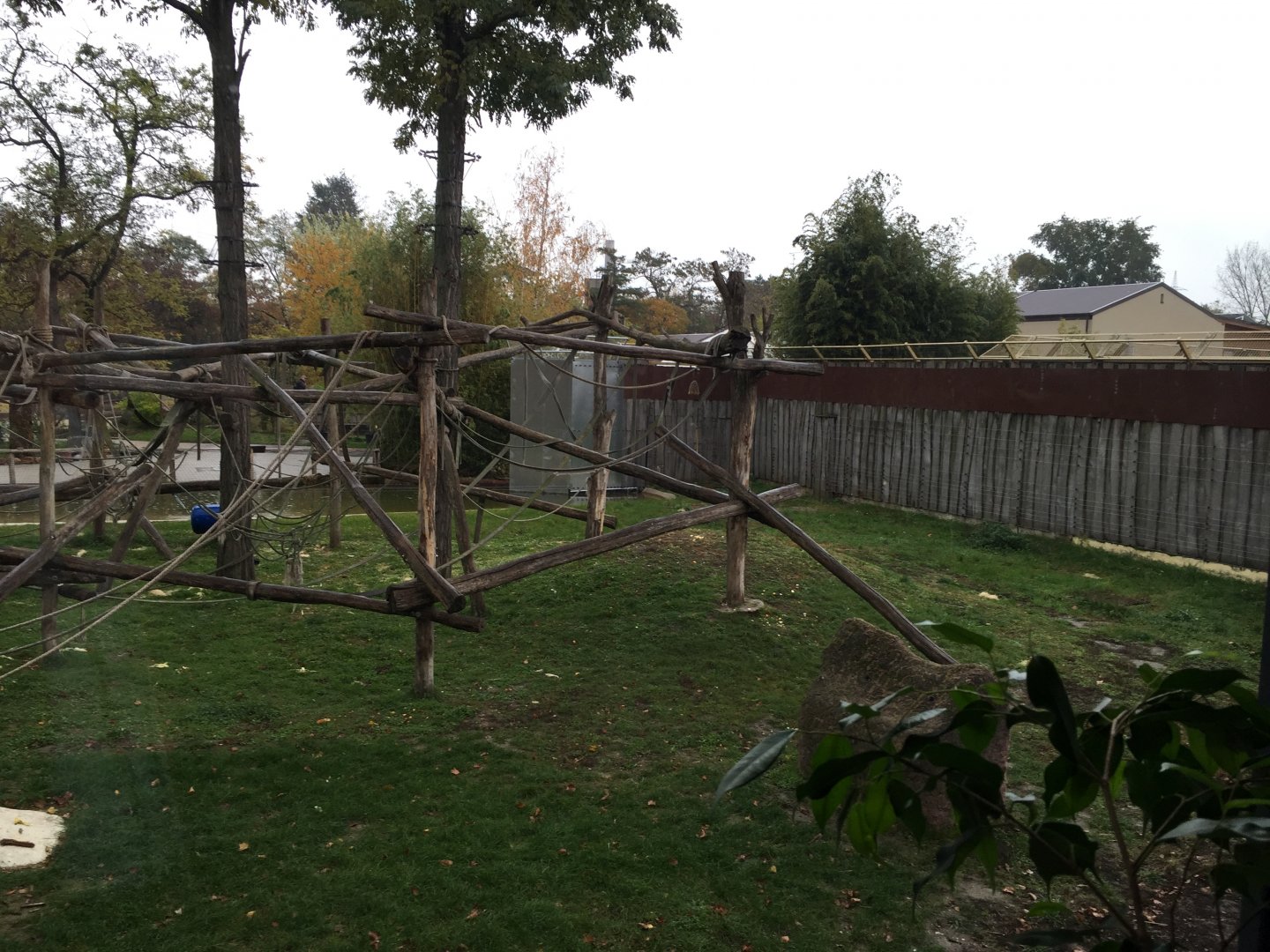 Part of the chimpanzee enclosure 10.2020.