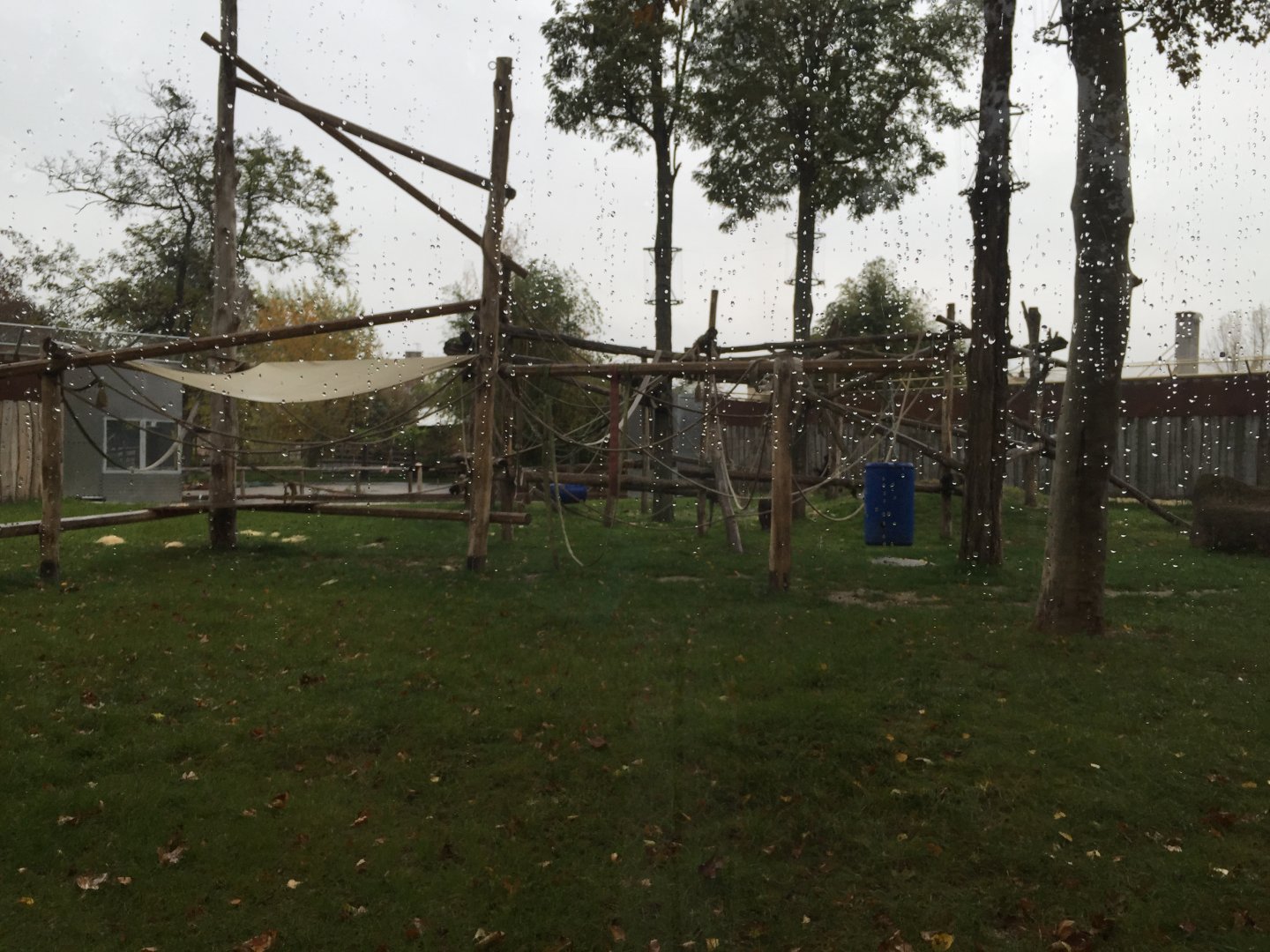 Part of the chimpanzee enclosure 10.2020.