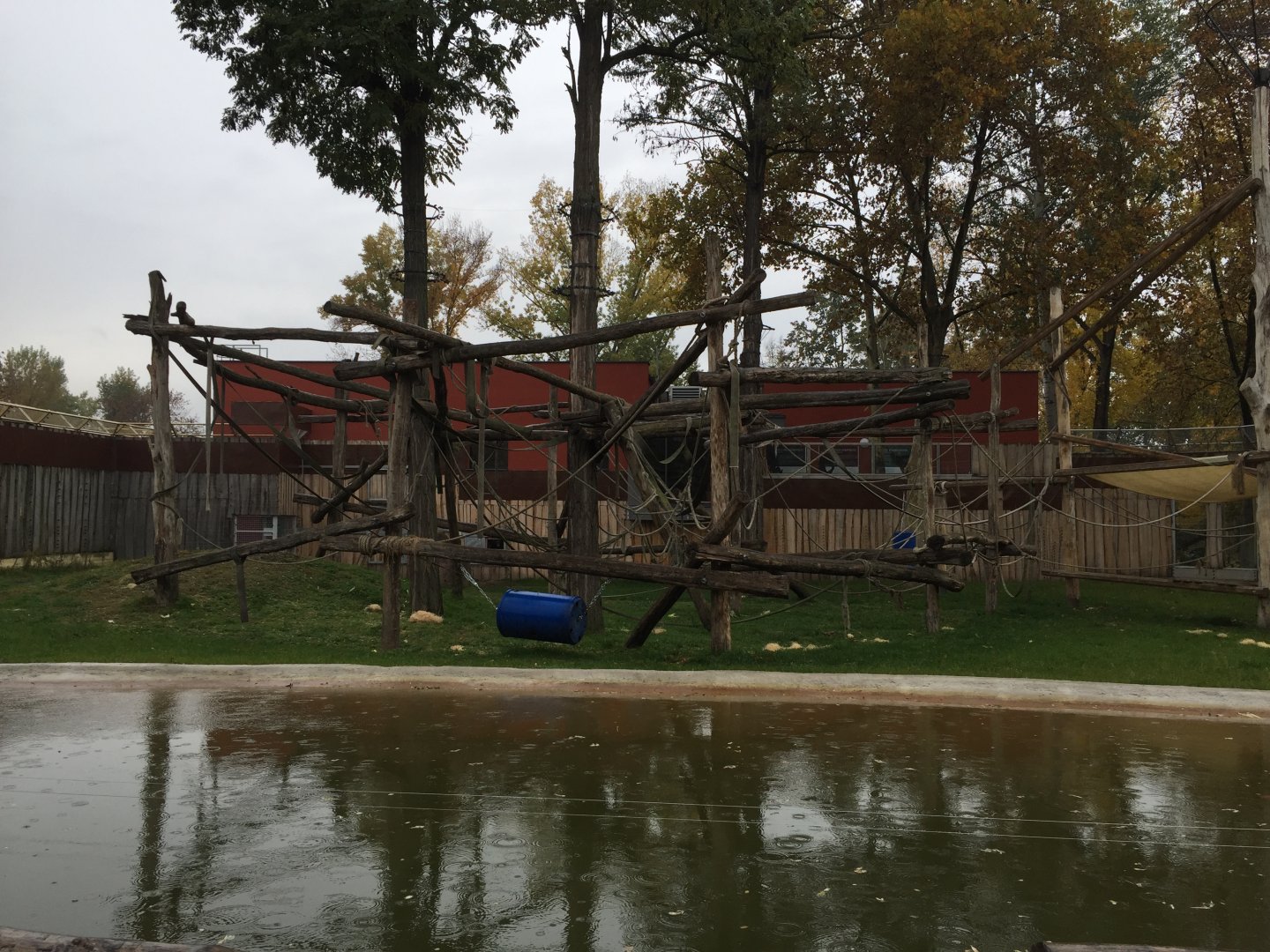 Part of the chimpanzee enclosure 10.2020.