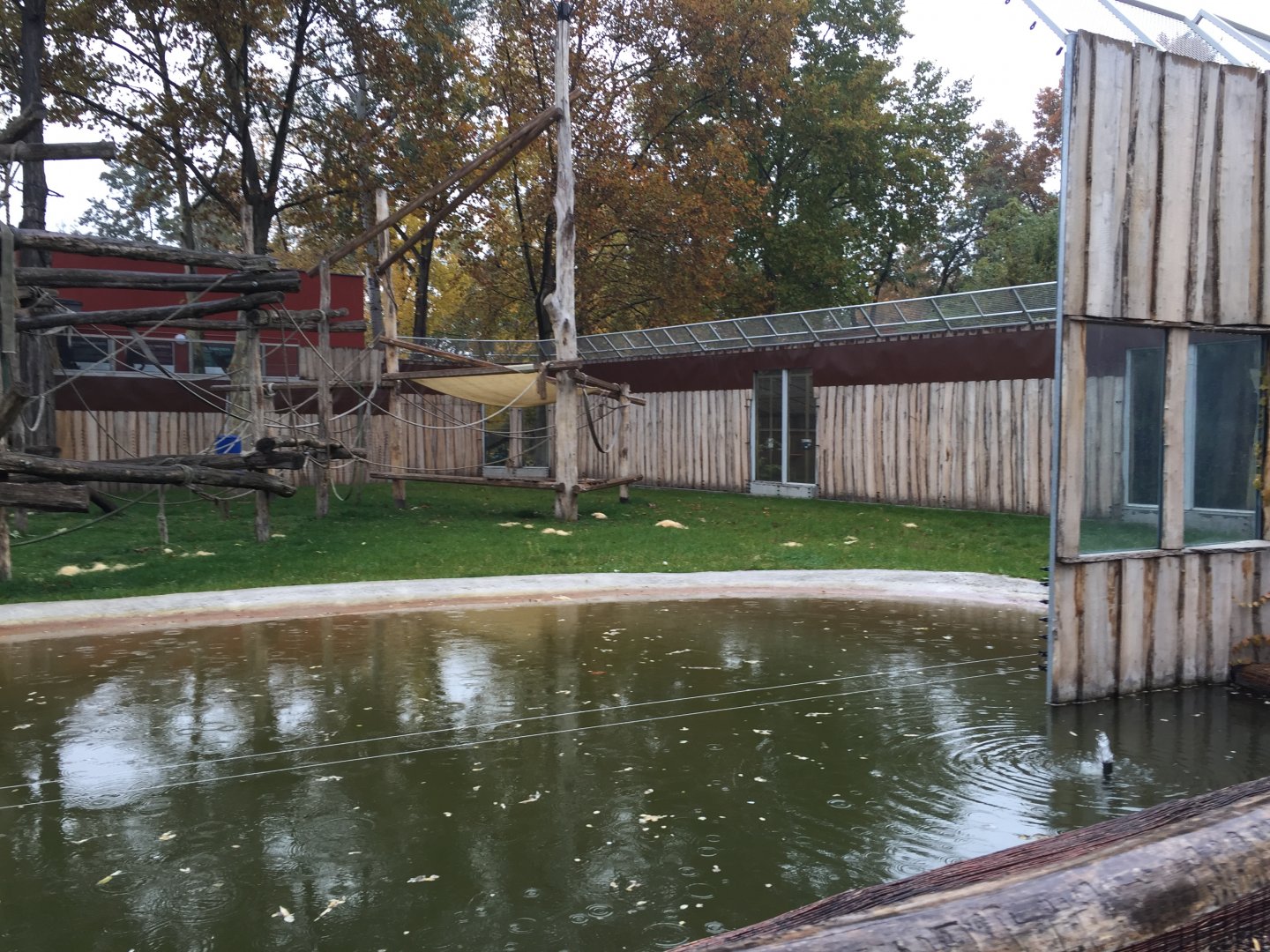 Part of the chimpanzee enclosure 10.2020.