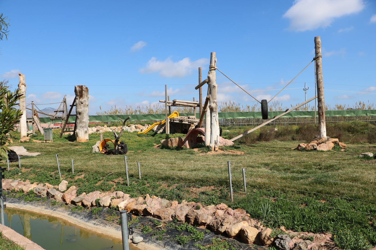 Part of the chimpanzee enclosure, February 2016