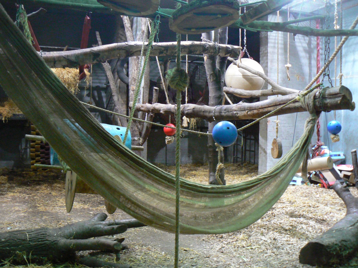 Part of the Chimpanzee Indoor Enclosure - 15 October 2016