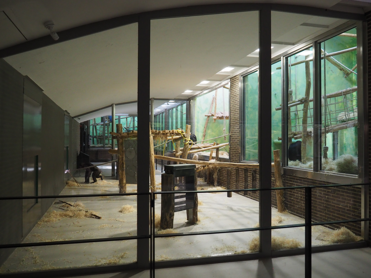 Part of the Chimpanzee indoor housing, 2020-06-28