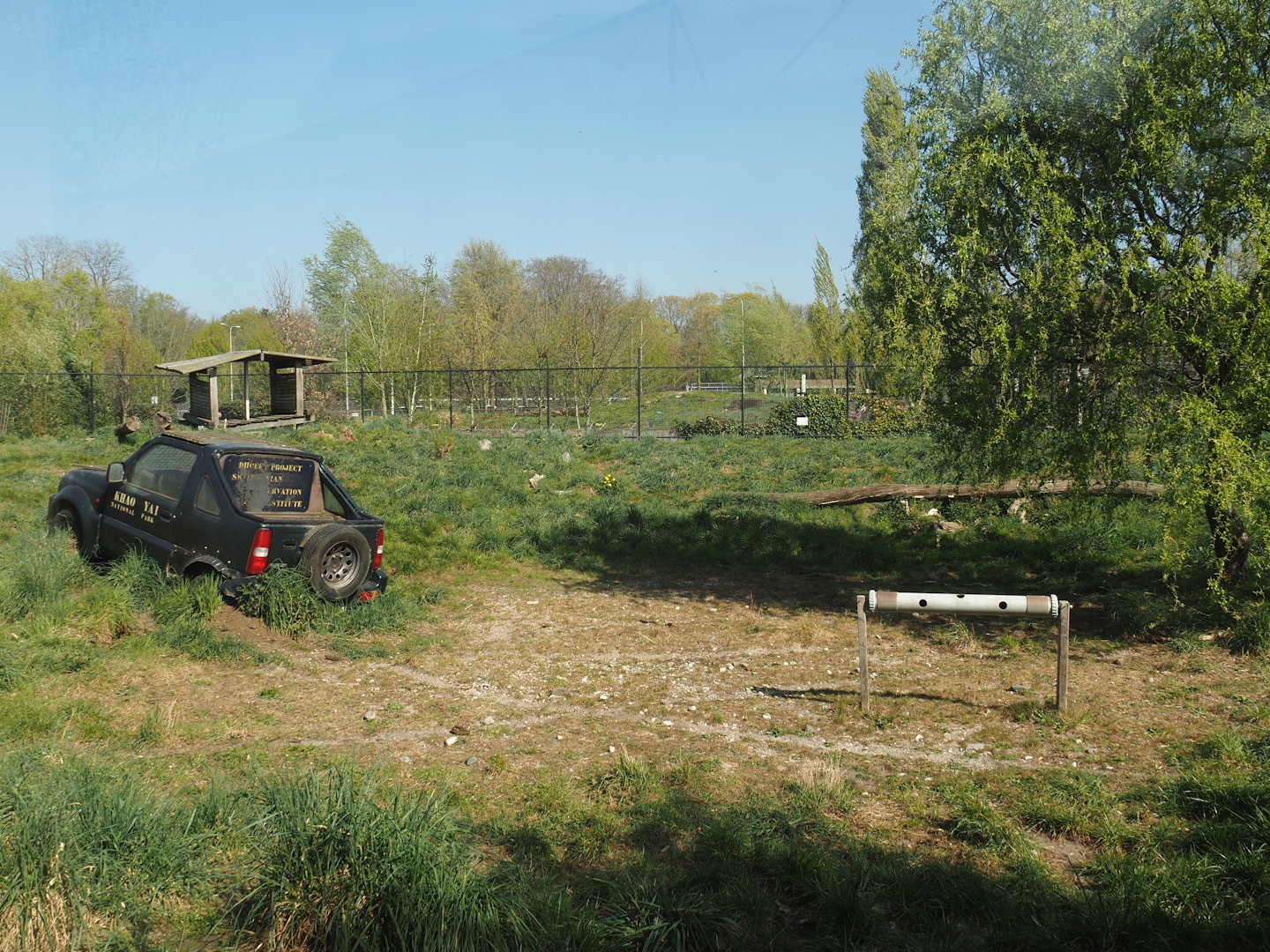 Part of the Chinese dhole exhibit, 2025-04-12