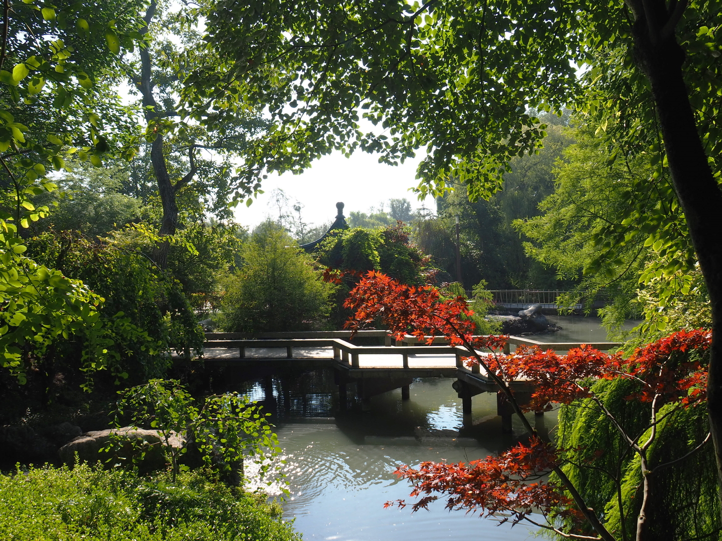 Part of the Chinese gardens, 2021-09-03
