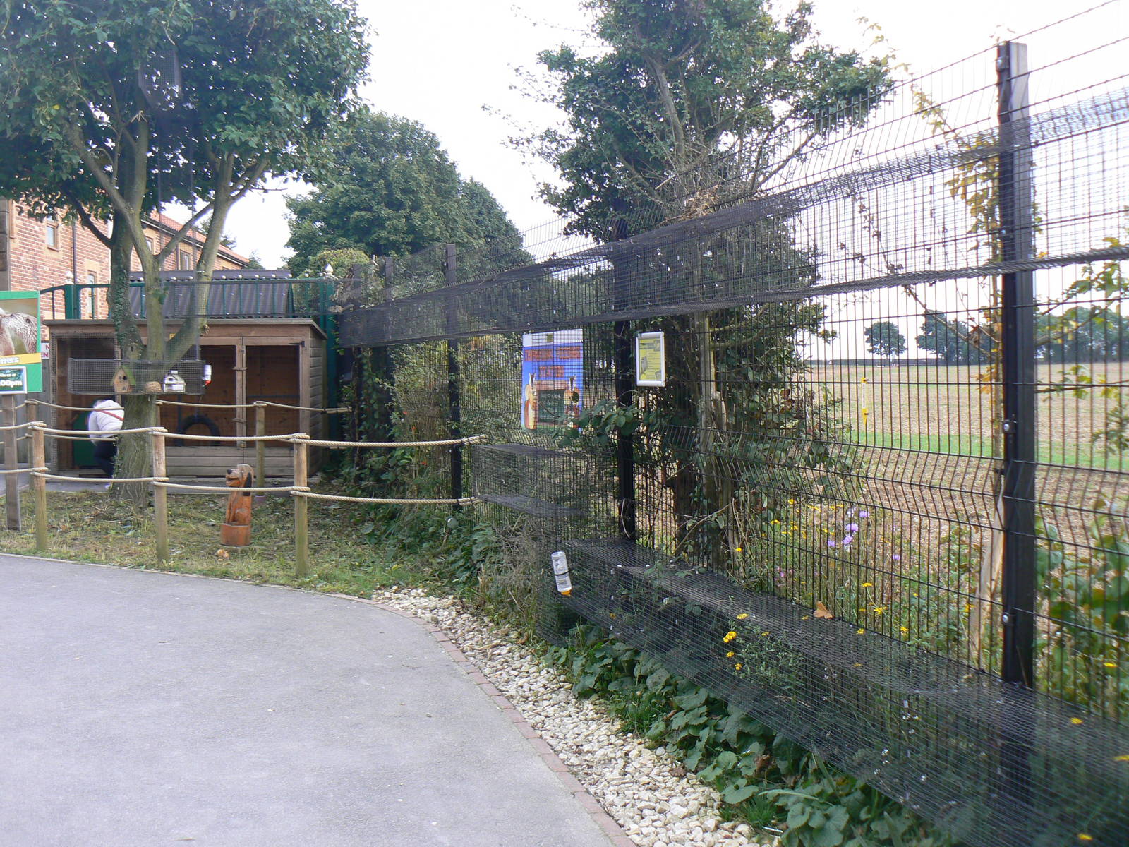 Part Of The Chipmunk Enclosure