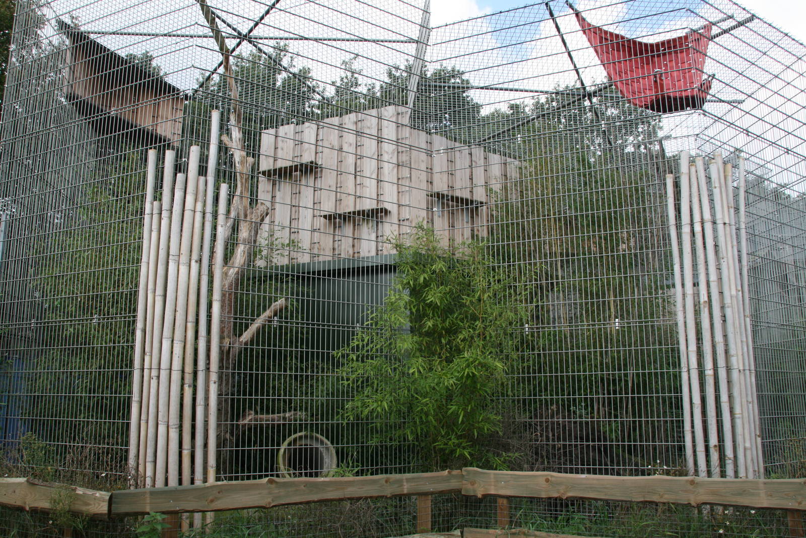 part of the Clouded leopard exhibit