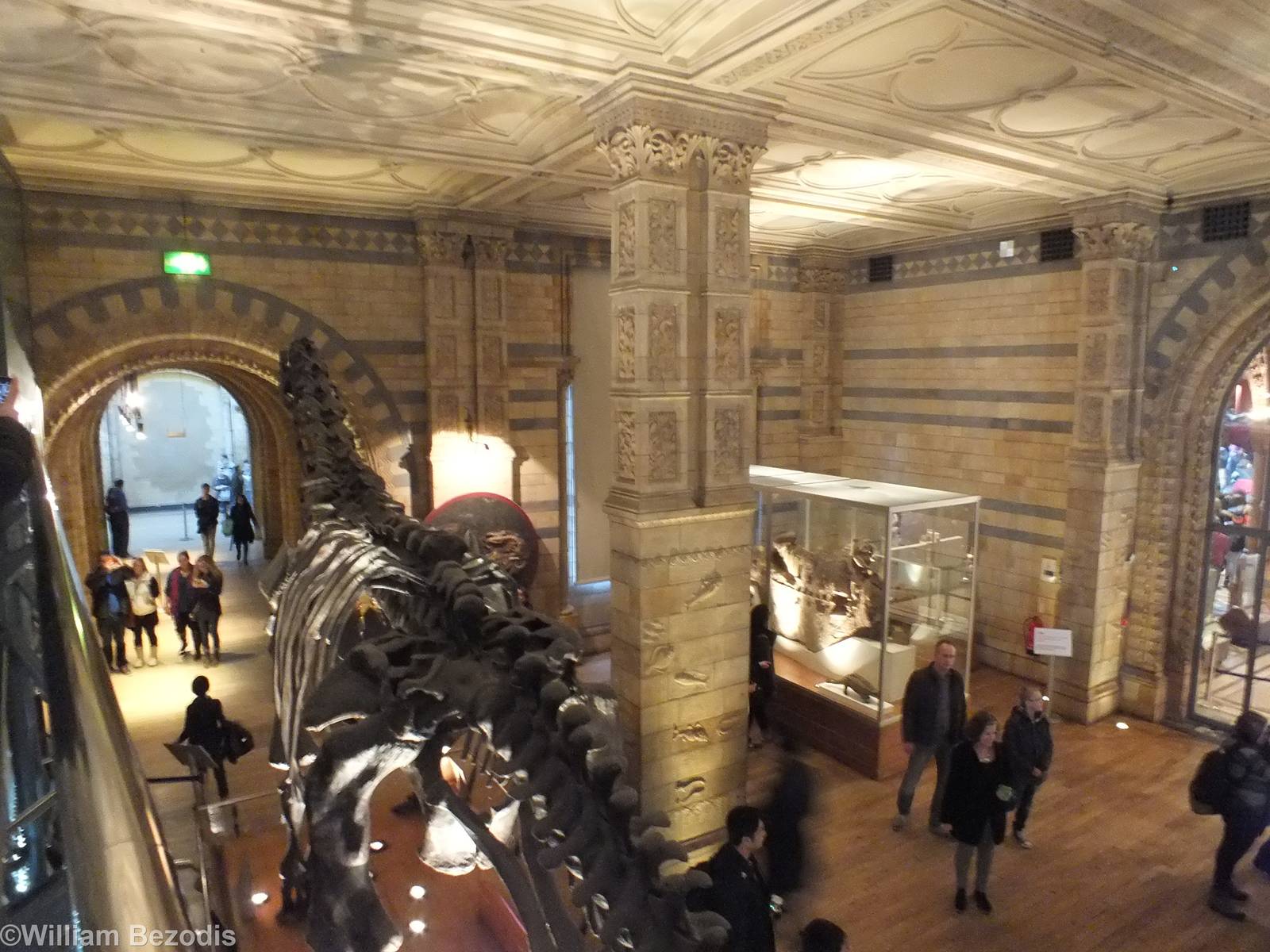Part of the Dinosaur Area - NHM London