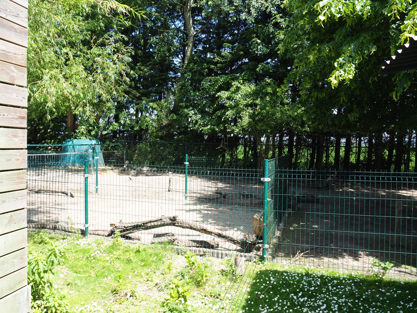 Part of the donkey paddock, 2019-06-01