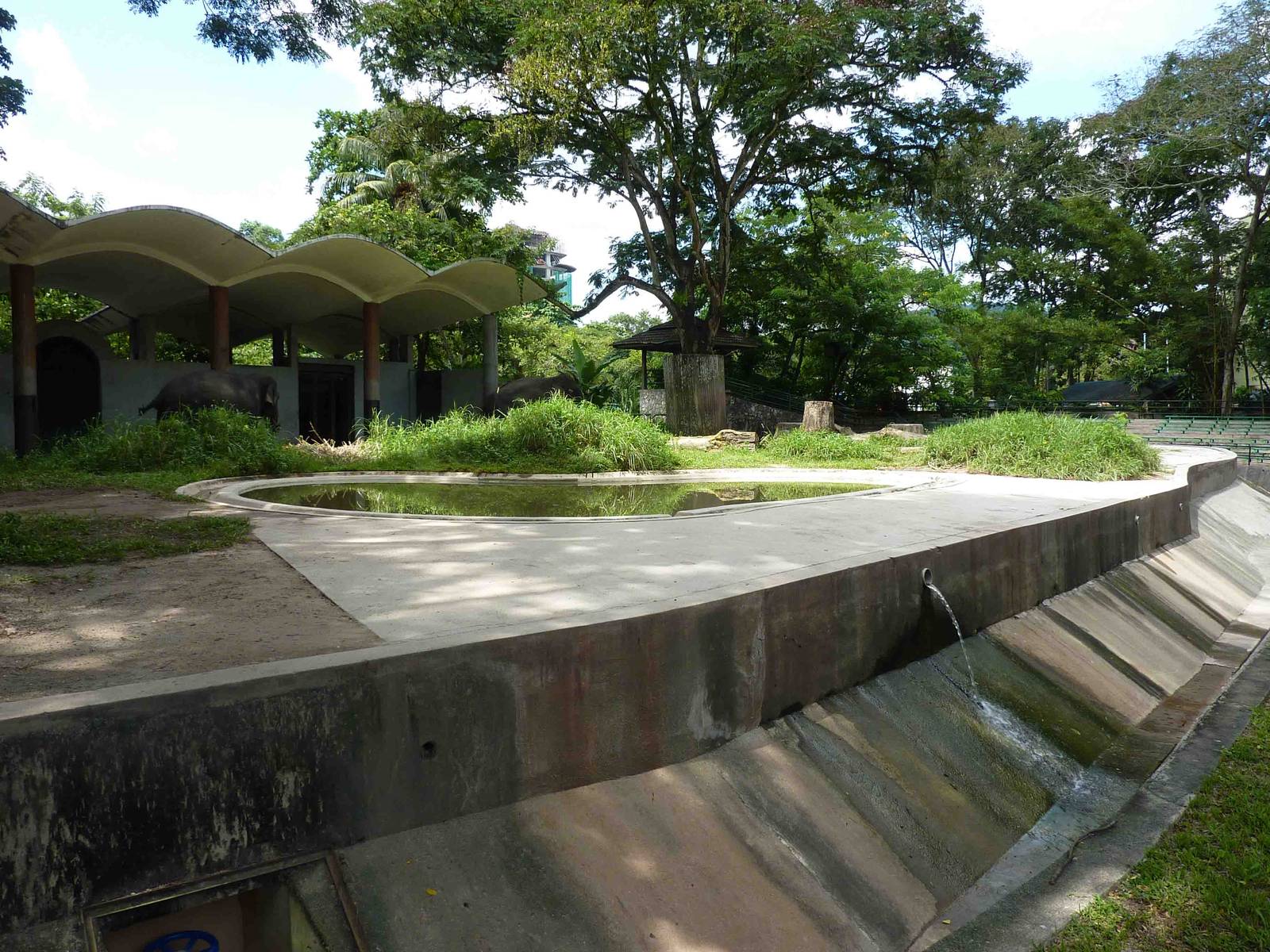 Part of the elephant enclosure, May 2013.