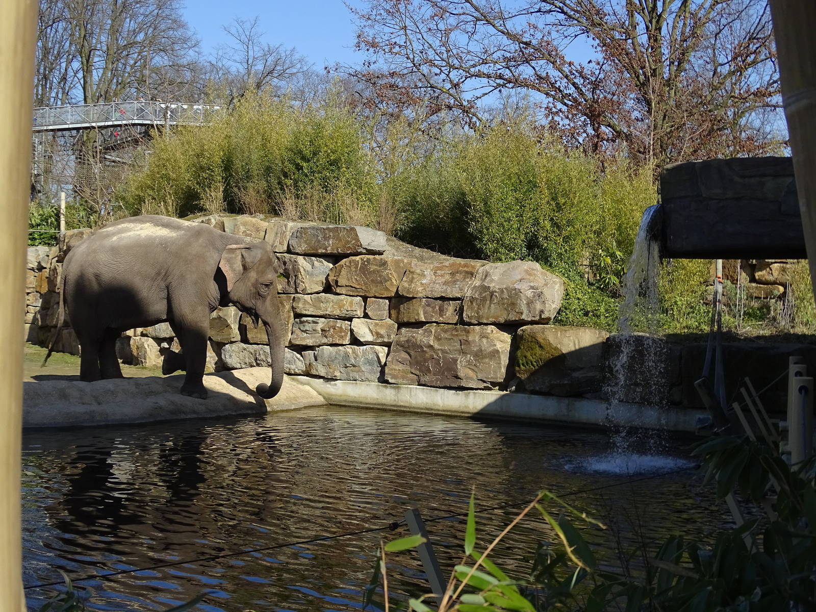 Part of the elephant enclosure