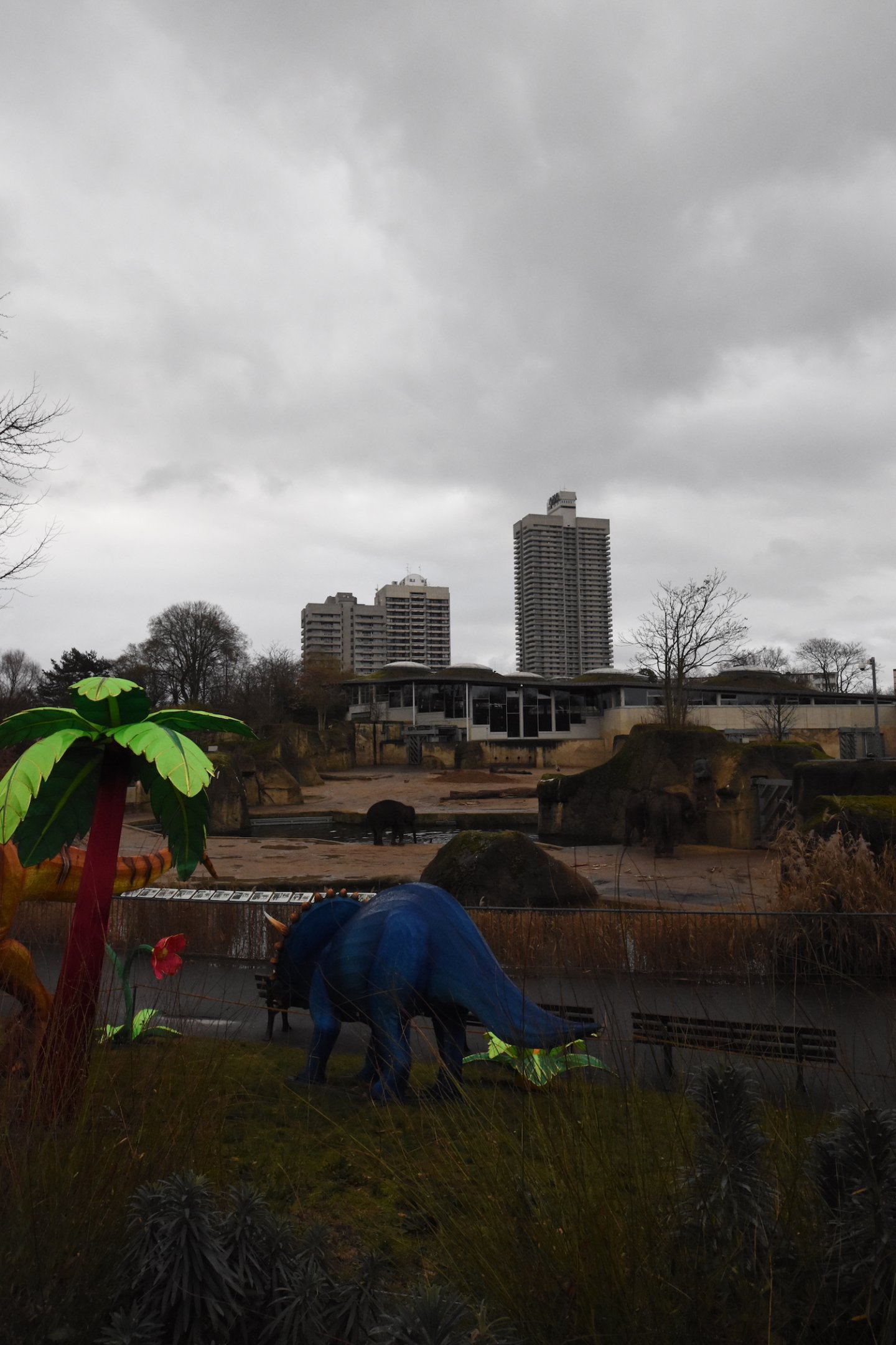 Part of the Elephant enclosure
