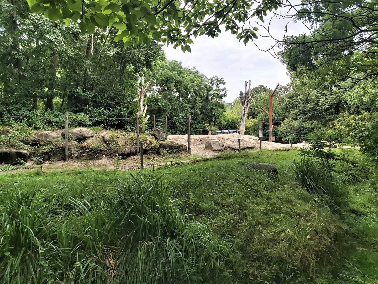 Part of the elephant enclosure.