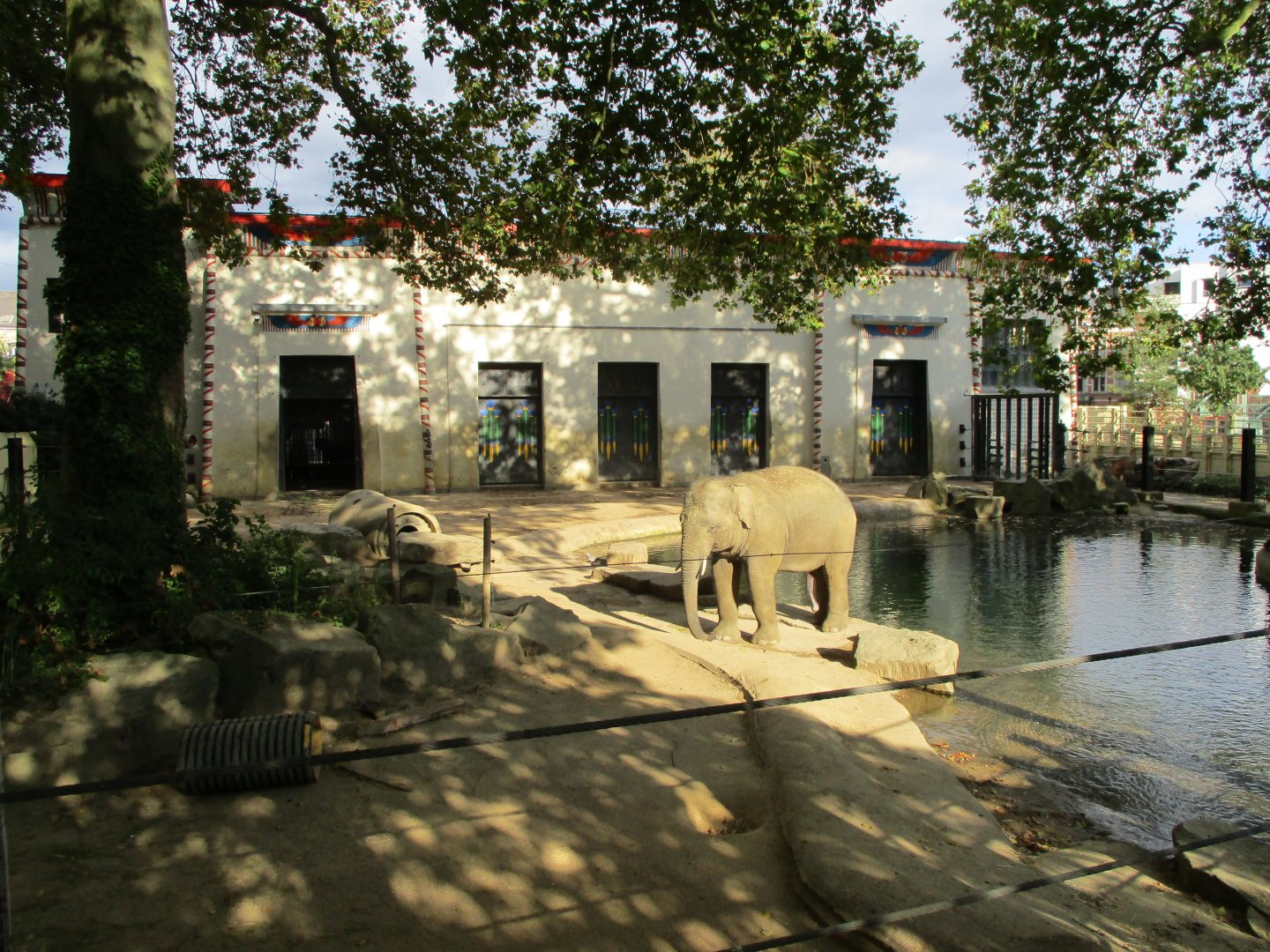 Part of the elephant enclosure