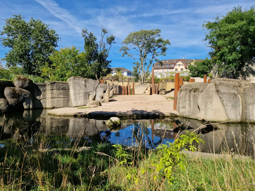 Part of the Elephant outdoor exhibit