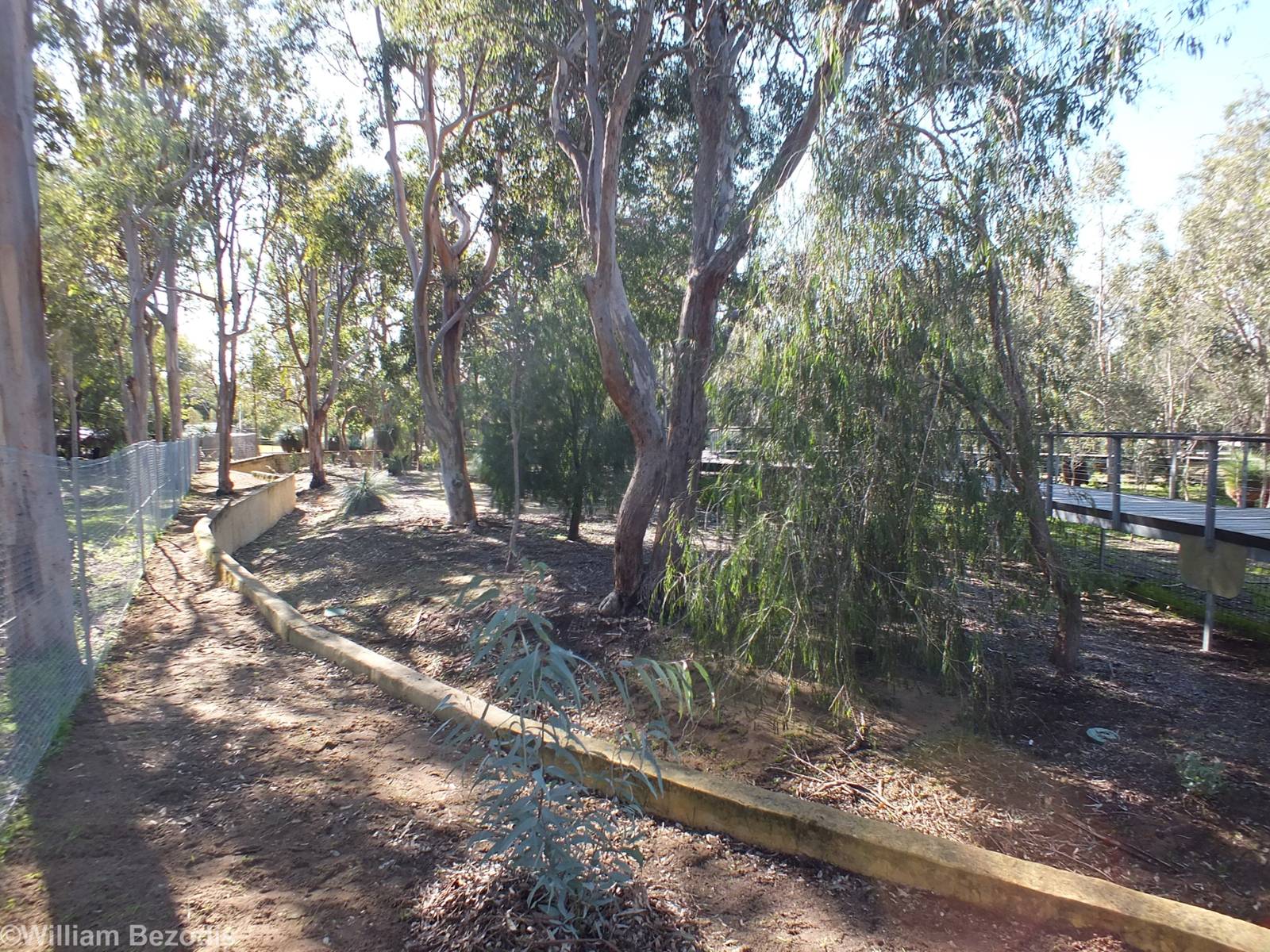 Part of the Enclosure - Yanchep National Park Koala Enclosure
