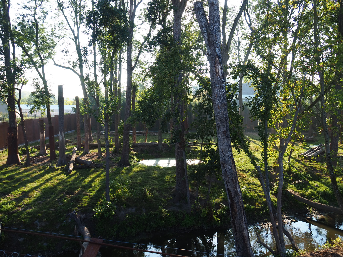 Part of the Eurasian brown bear and Eurasian grey wolf exhibit, 2020-09-02