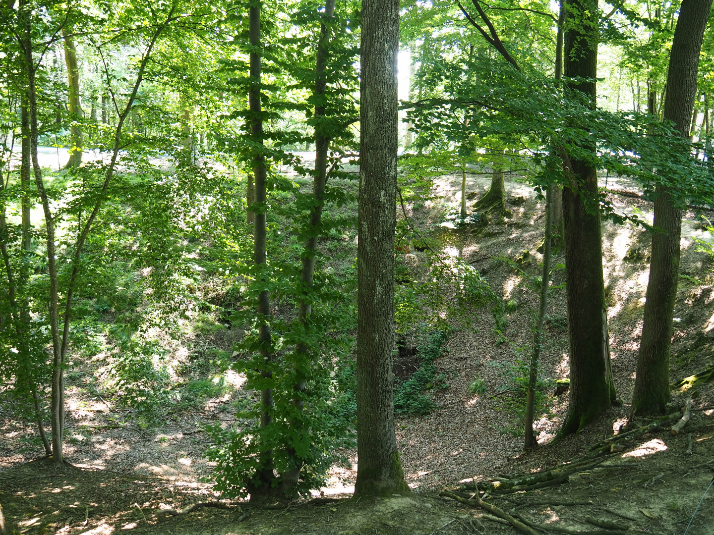 Part of the Eurasian grey wolf exhibit, 2020-07-12