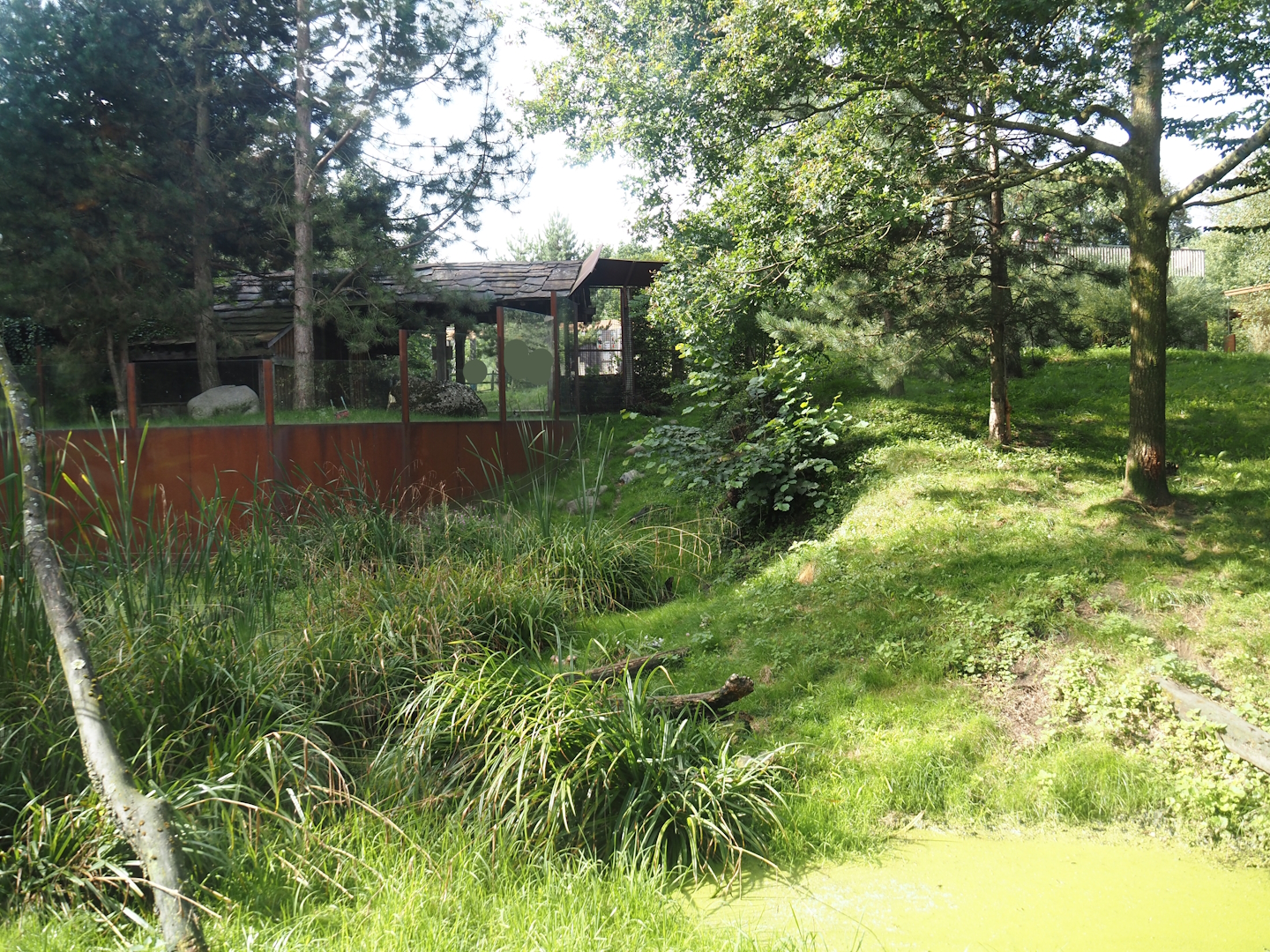 Part of the Eurasian lynx exhibit, 2024-08-21