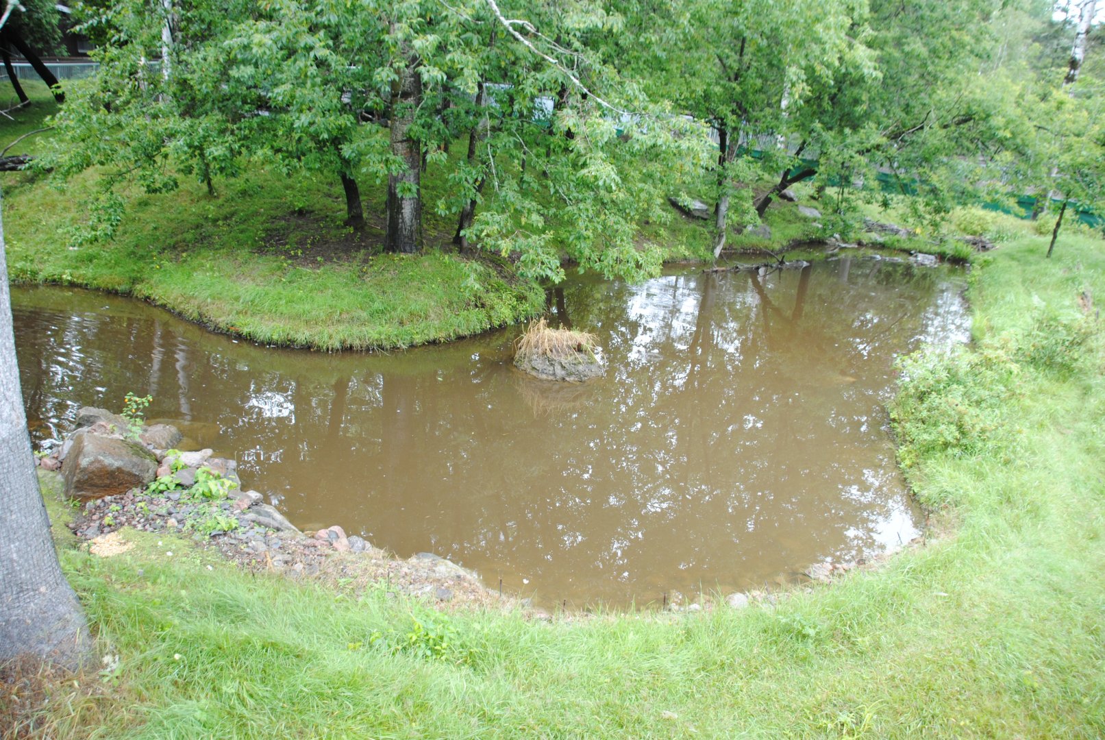 Part of the exhibit for river otters, raccoons, red fox, and fishers (Mixed Forest section)