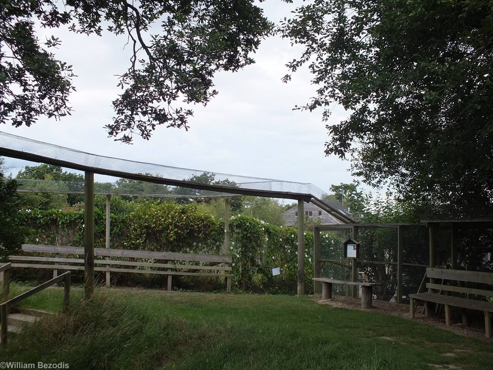 Part of the Extensive Network of Pine Marten Walkways.