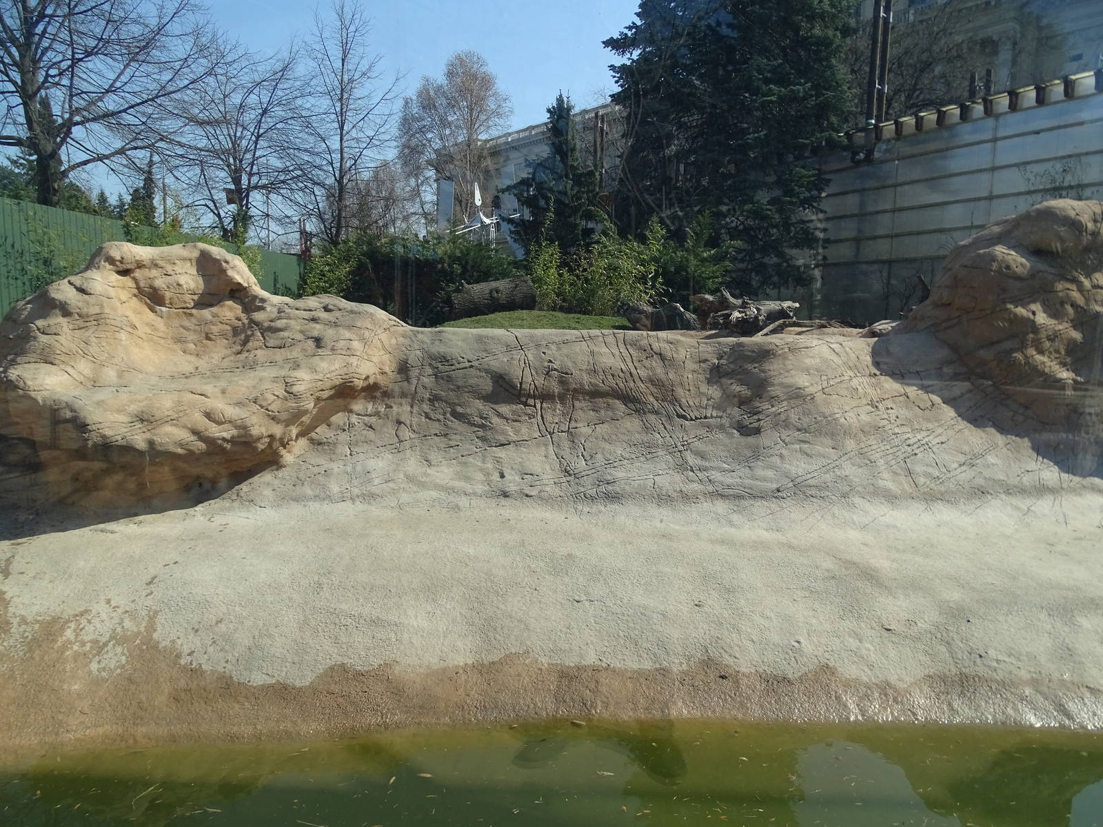 Part of the giant otter outdoors enclosure