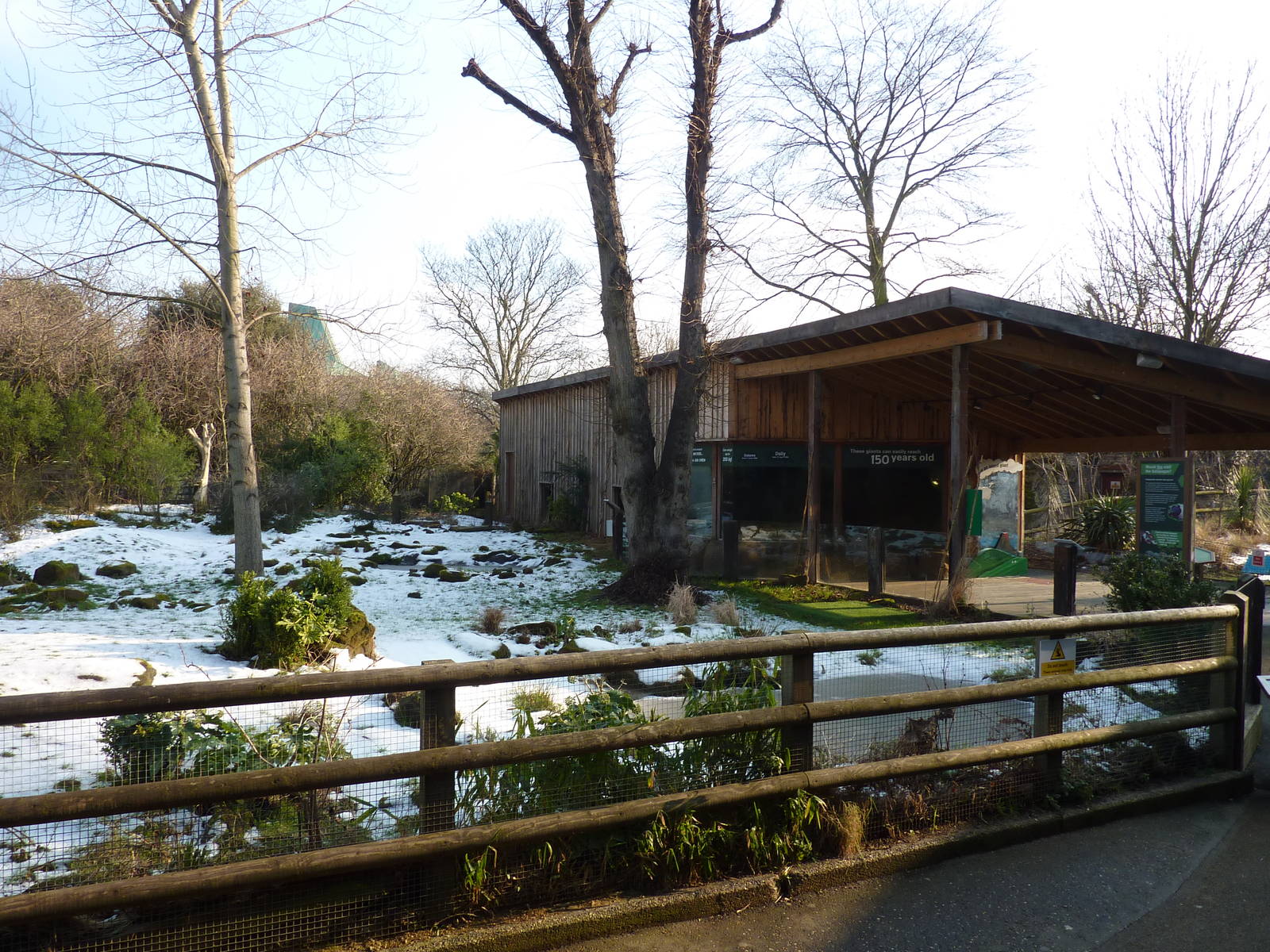 Part of the giant tortoise enclosure, 7th Feb 2012